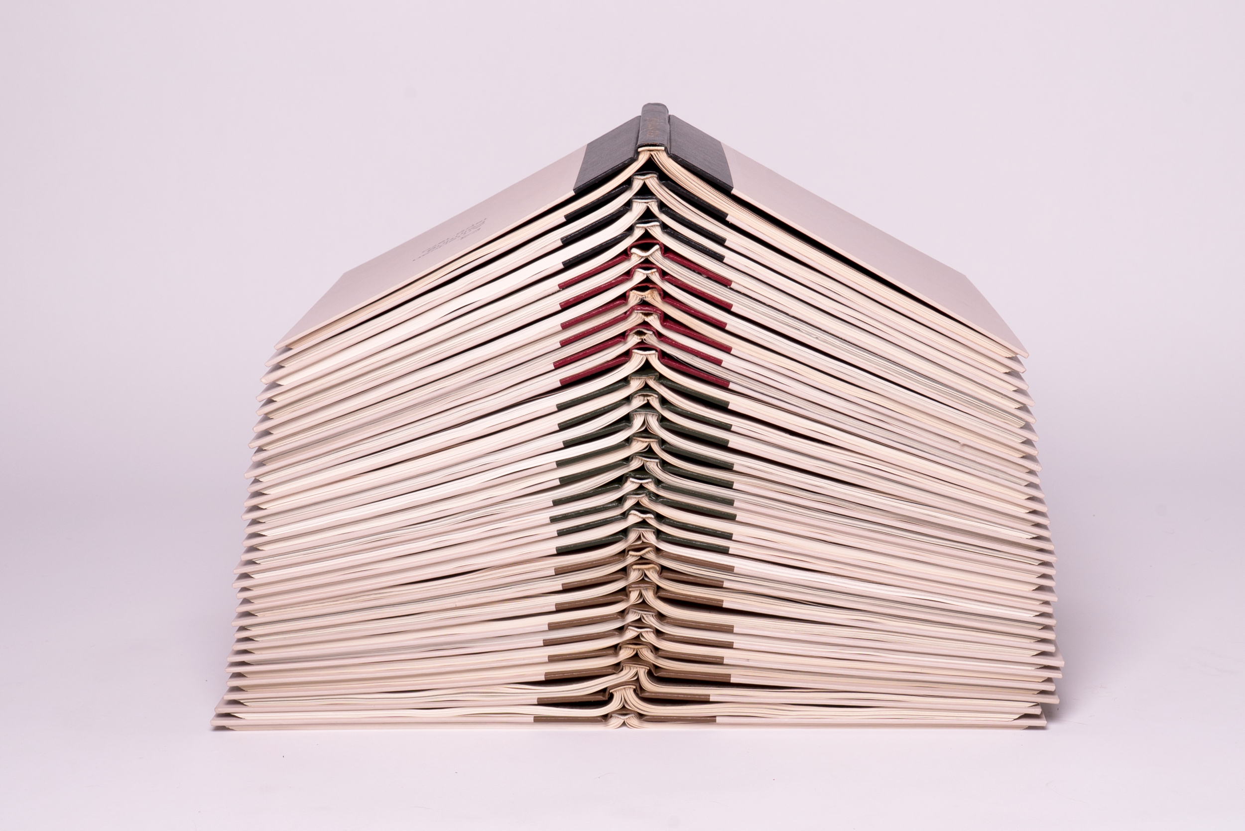 BackBone-vasiligavre-DSC07161.png
