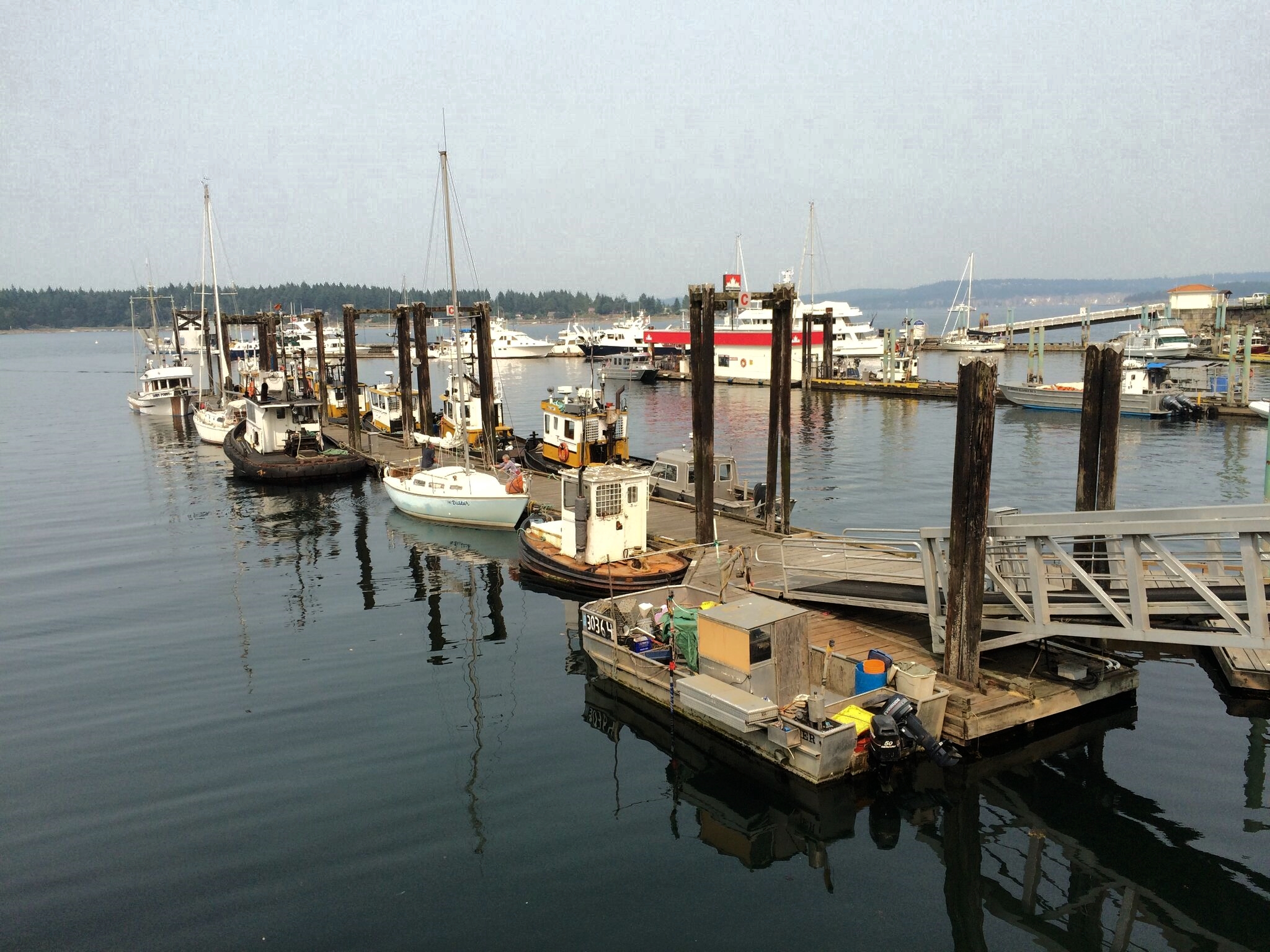 View from the Nanaimo harbor
