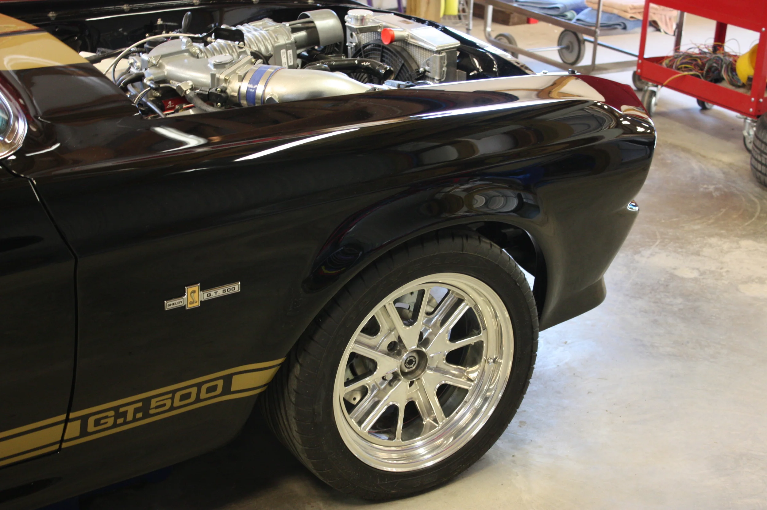 happyeleanorconvt 063.JPG