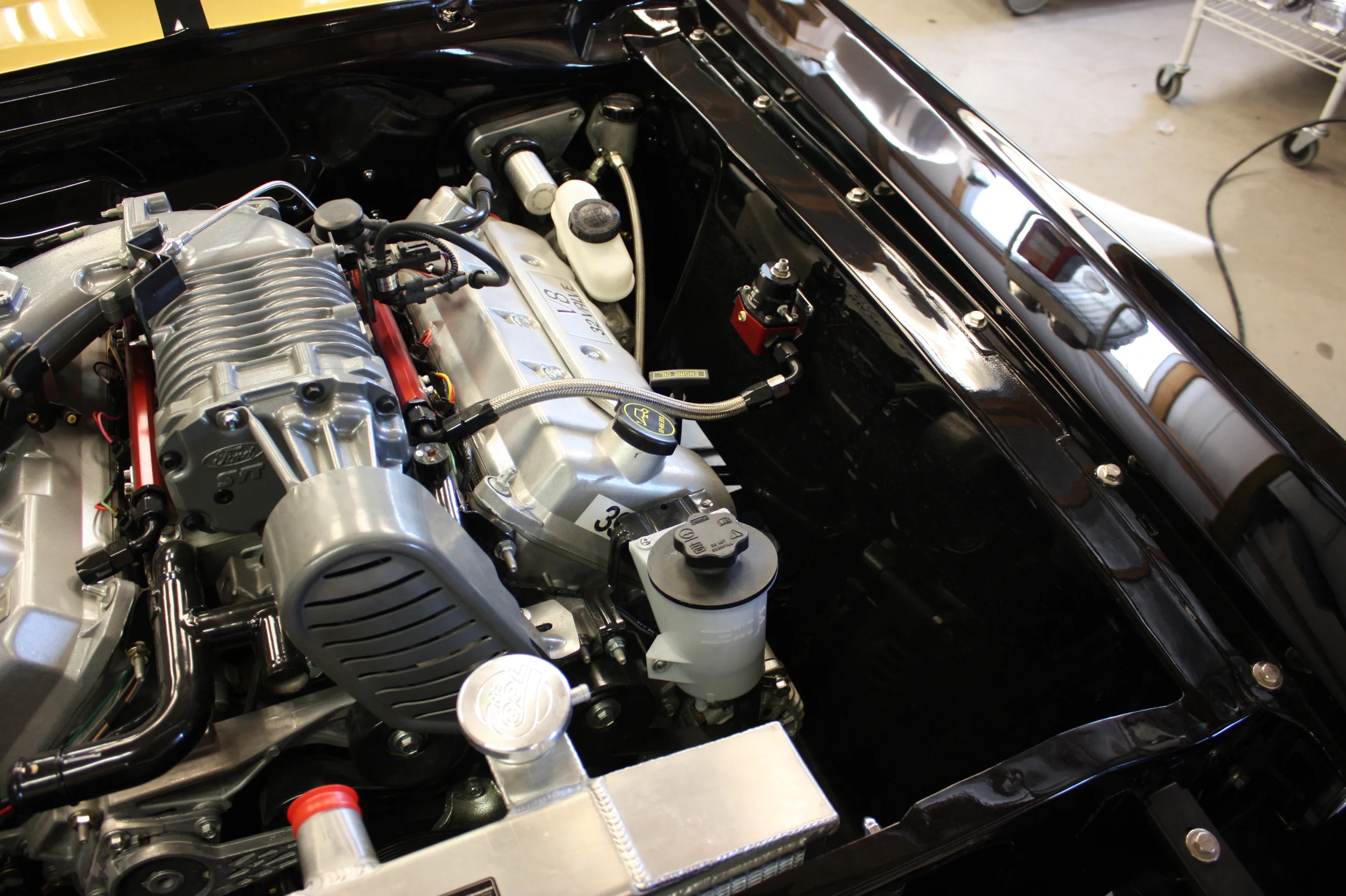 happyeleanorconvt 061.JPG