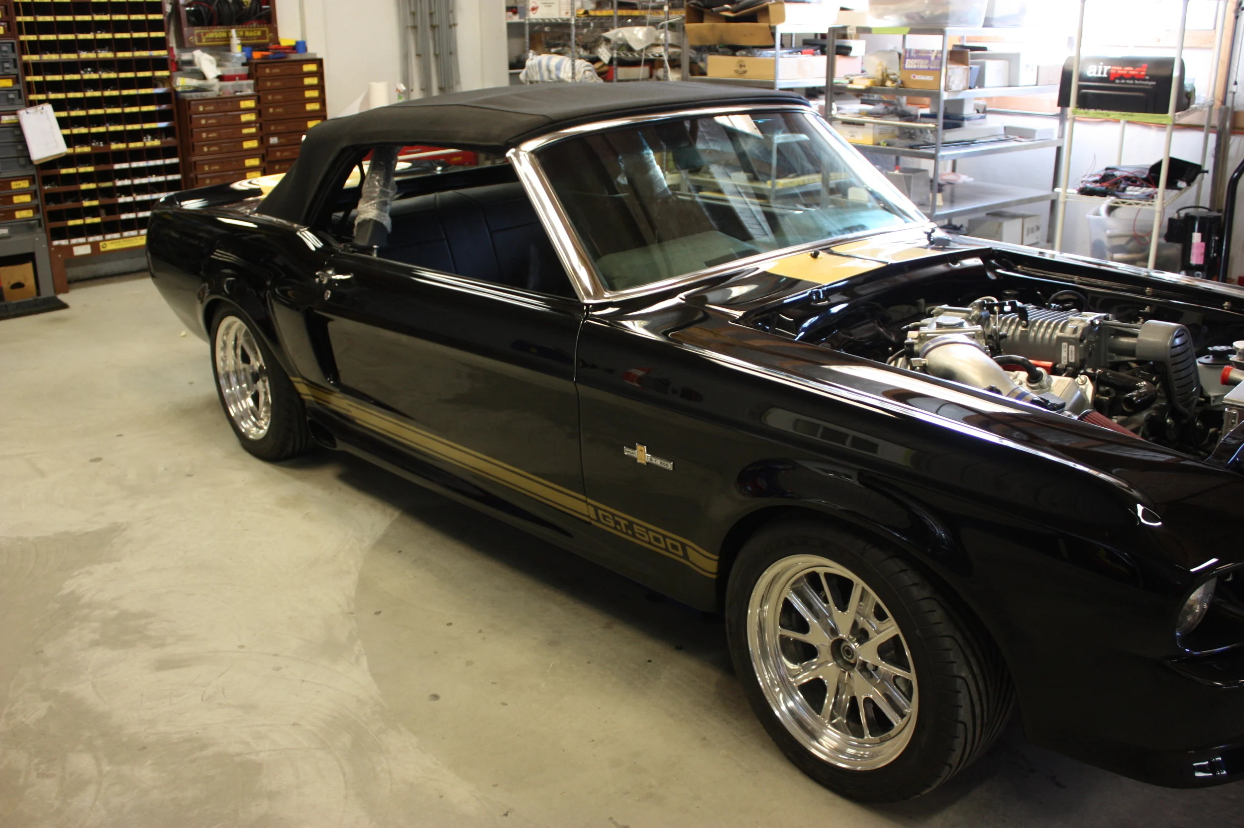 happyeleanorconvt 056.JPG