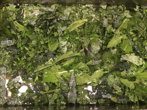 Valentino eats an organic "bunny salad" for dinner.