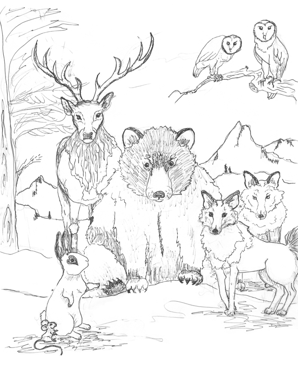 coloring-book-page-24.png