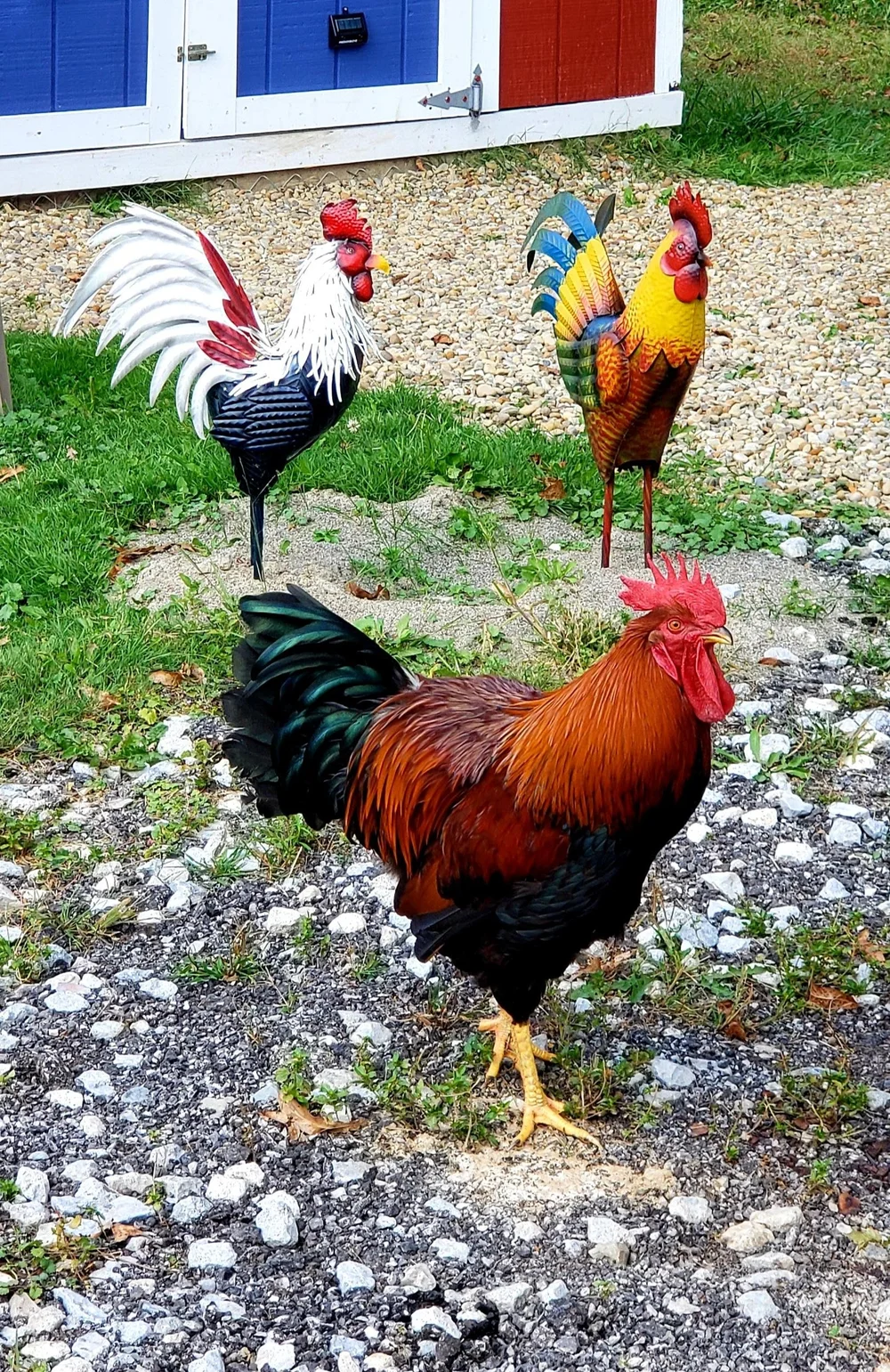 pssst..buddy, who's that handsome dude.jpg