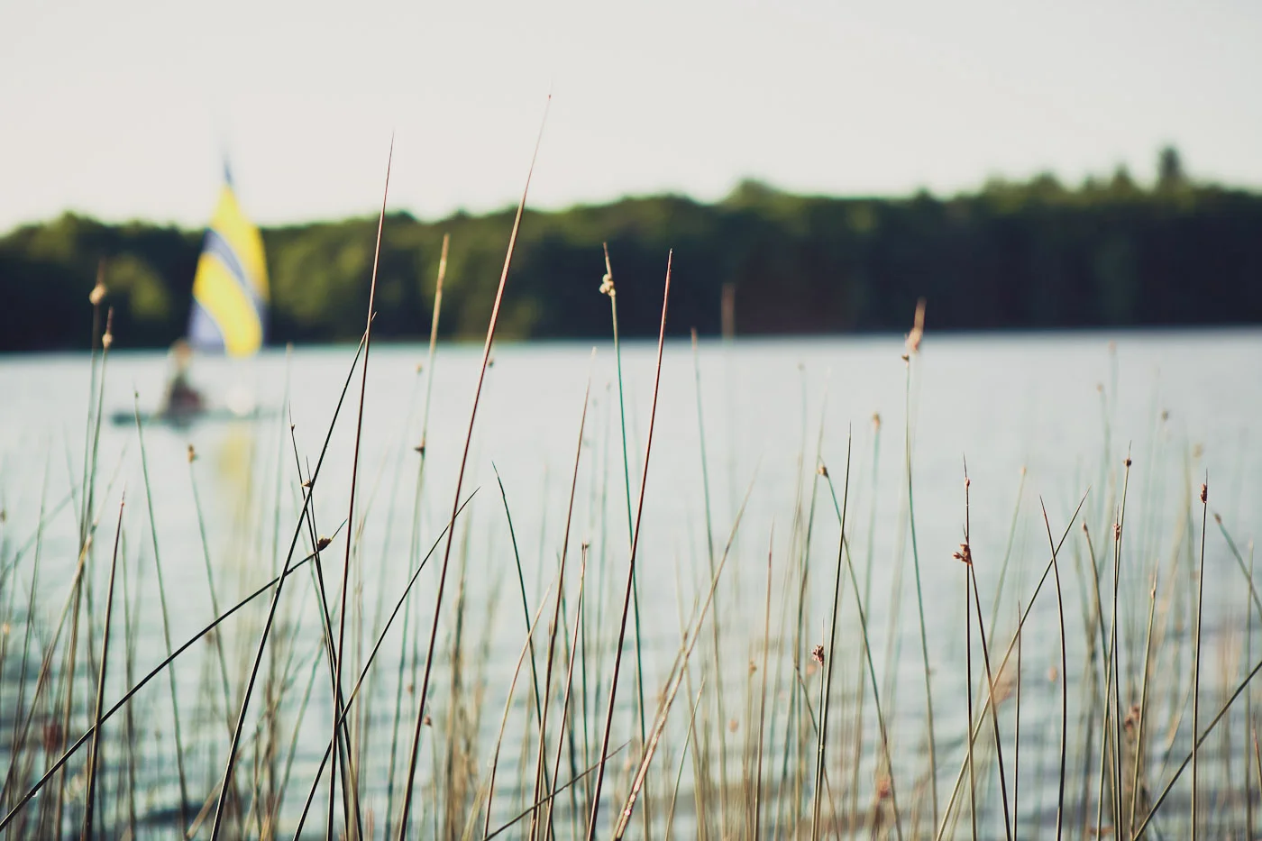 an english summer {fun.thus.far}