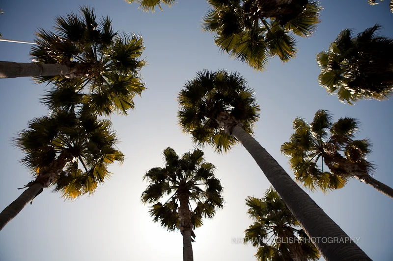 california kids {family.vacation.destination}