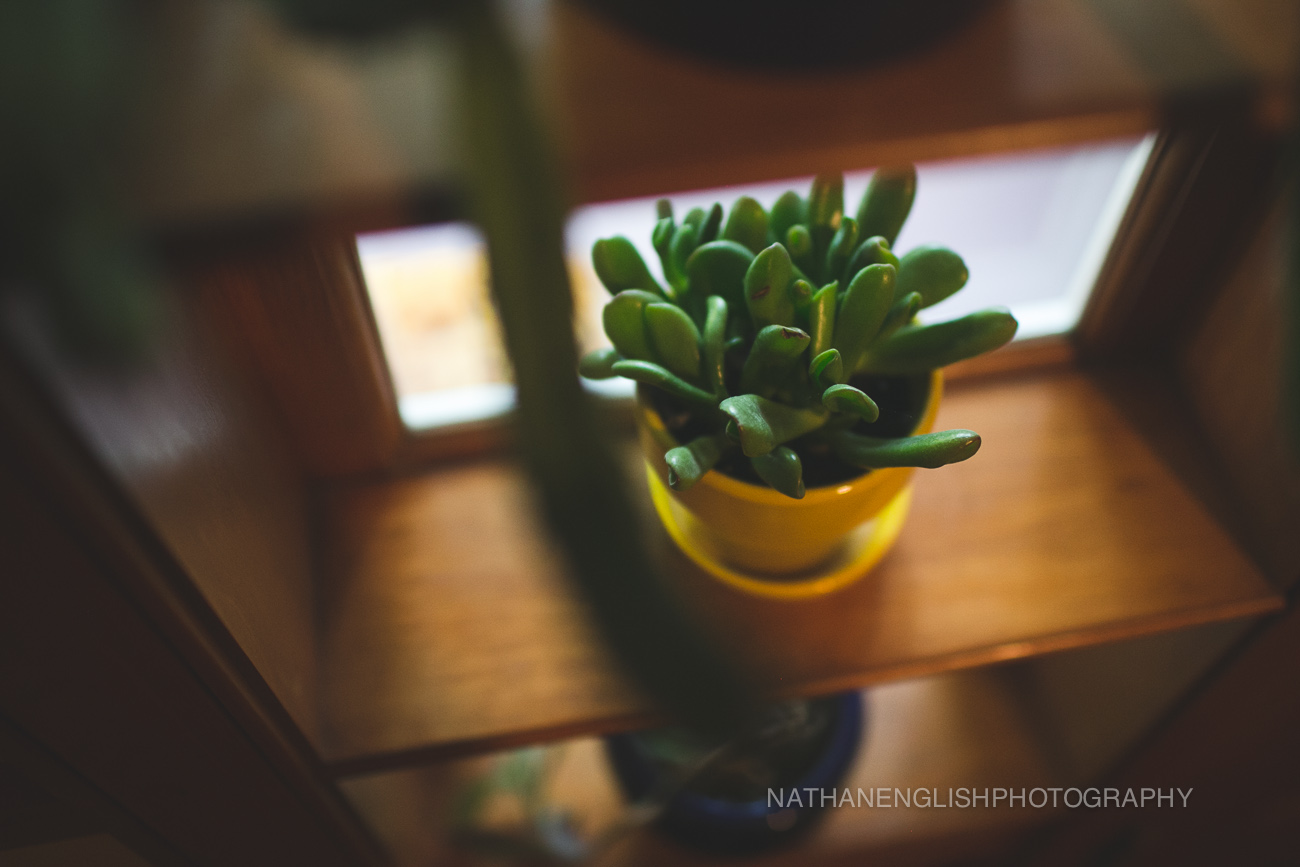 Z+N blog 005.jpg