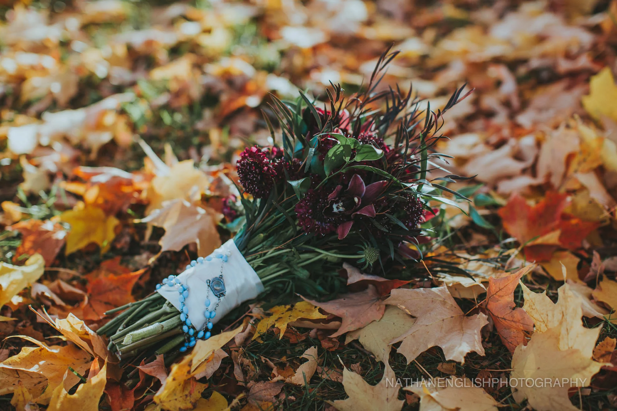 blog-117.jpg