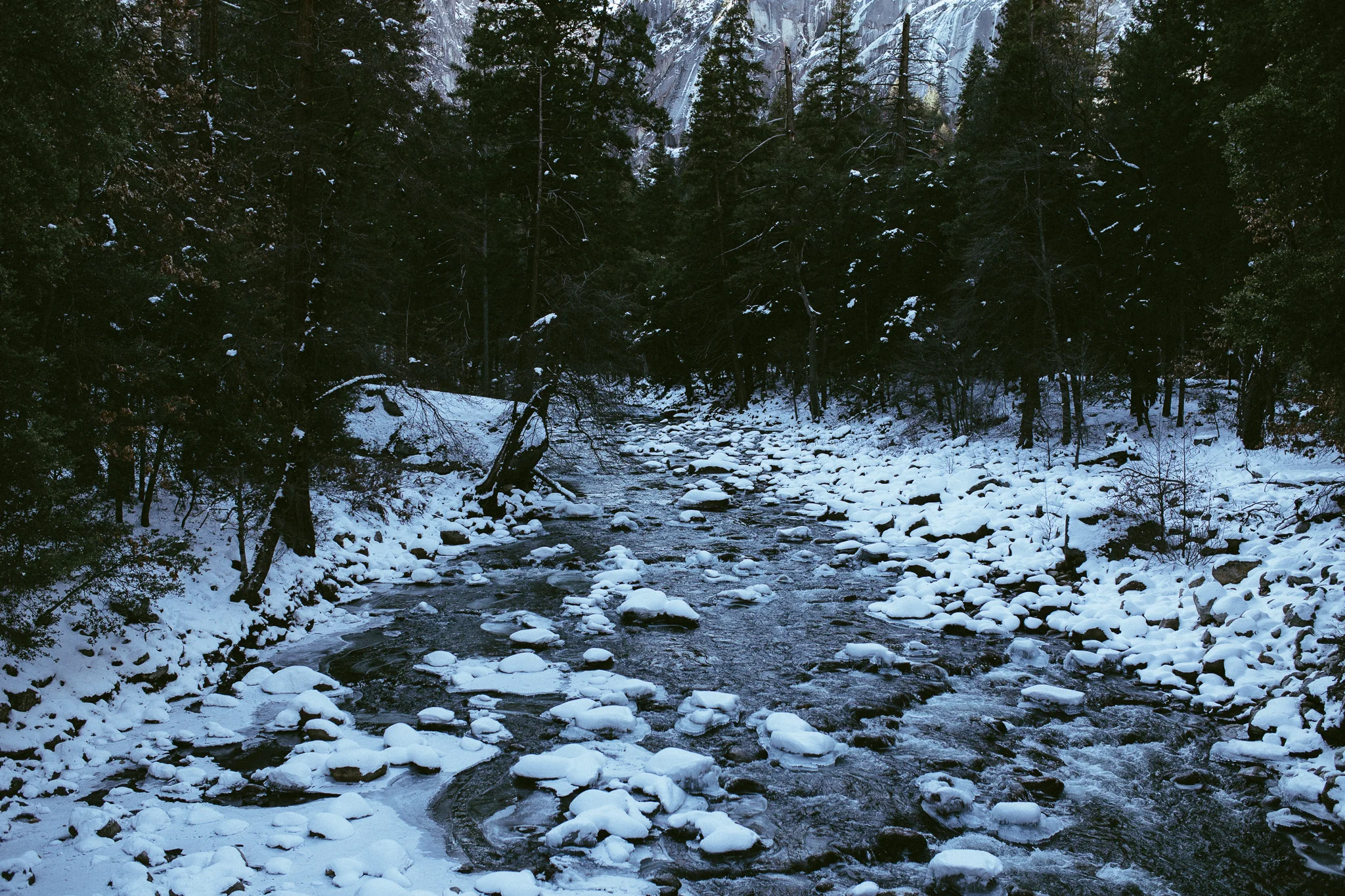 20160101-YSM-156.jpg