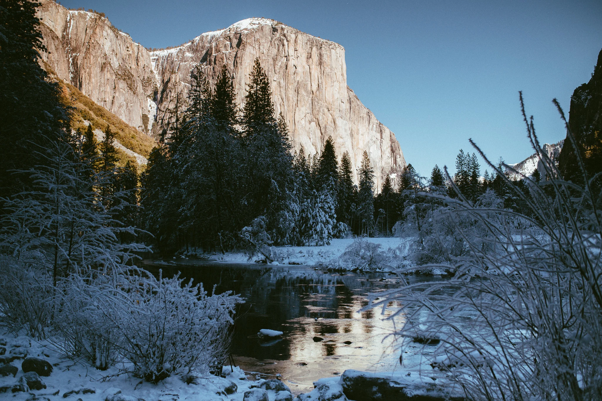 20160101-YSM-283.jpg