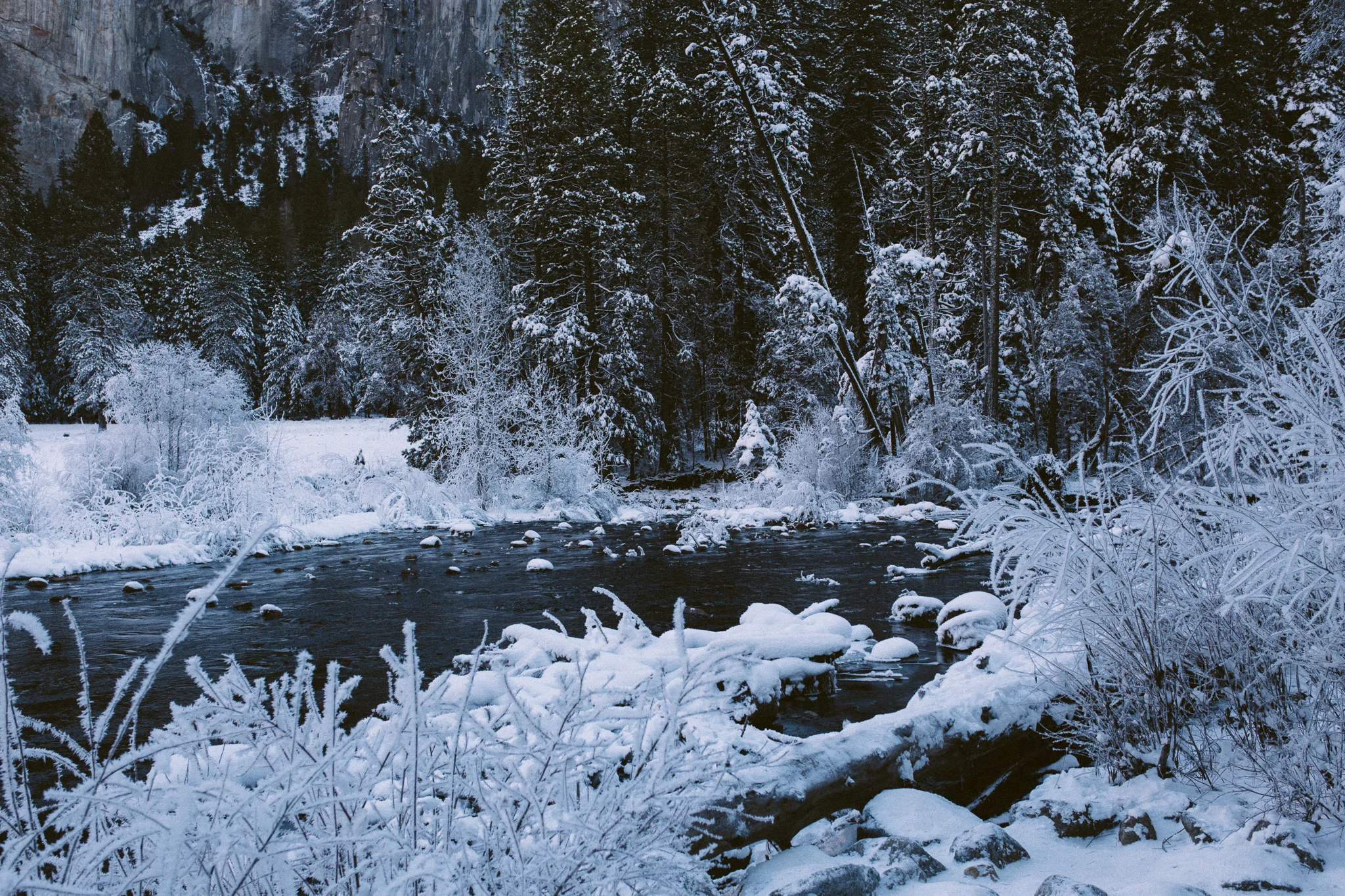 20160101-YSM-289.jpg