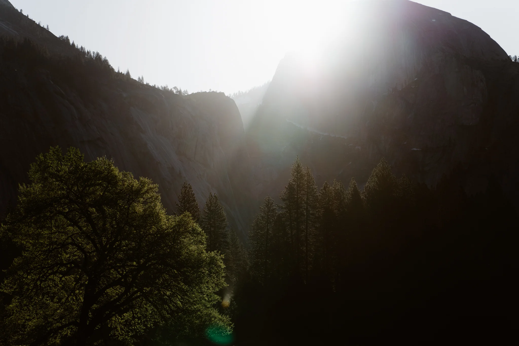 20160417_Yosemite_0675.jpg