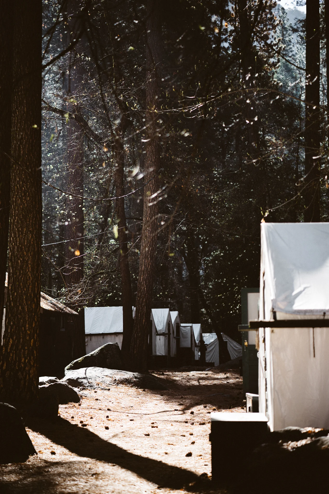 20160417_Yosemite_0704.jpg