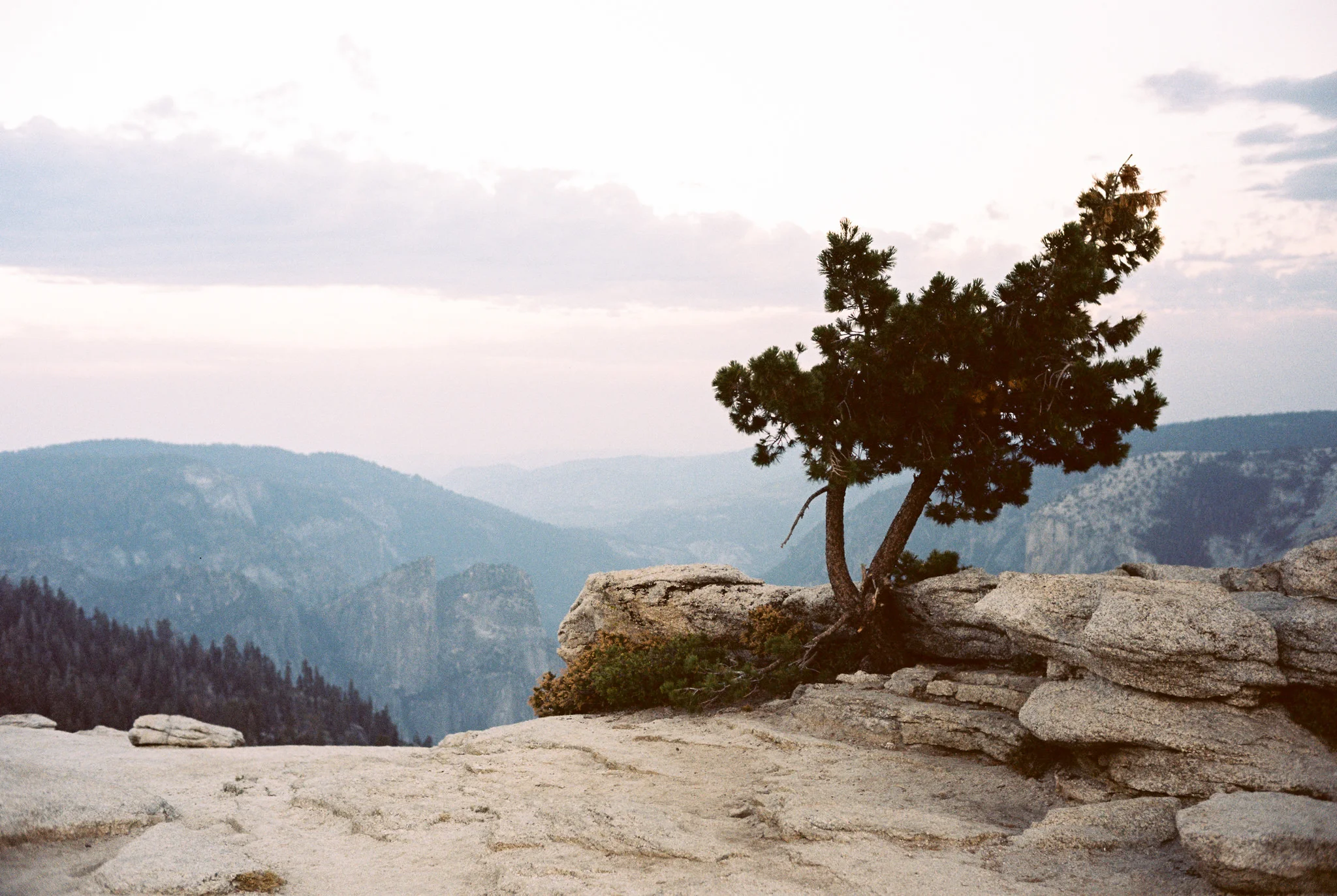 20160821-Film-Yosemite-20.jpg