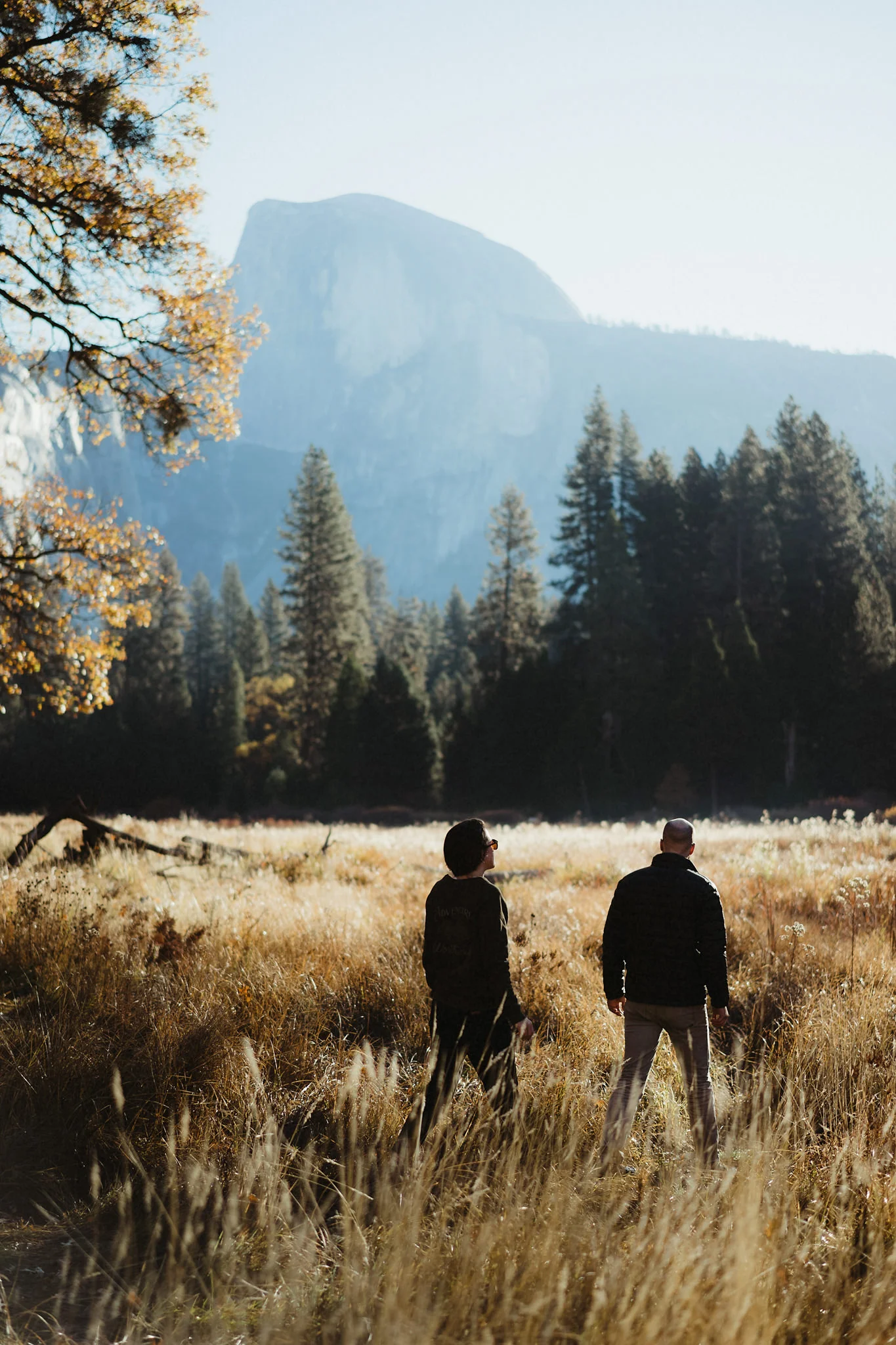 20161105_Yosemite_0709.jpg