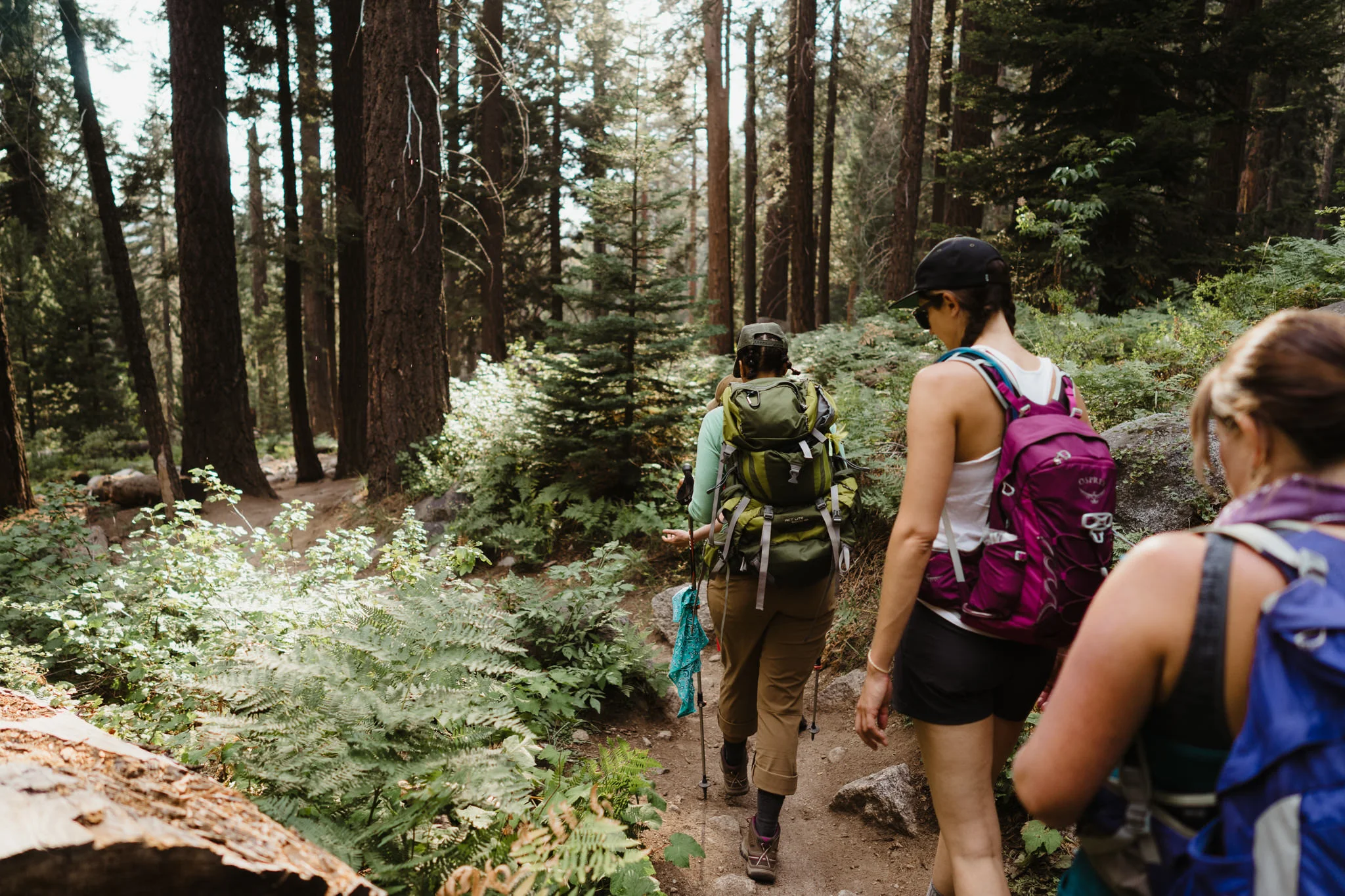 20170903-Shoestring-Adventures-Camping-Sequoia-8.jpg