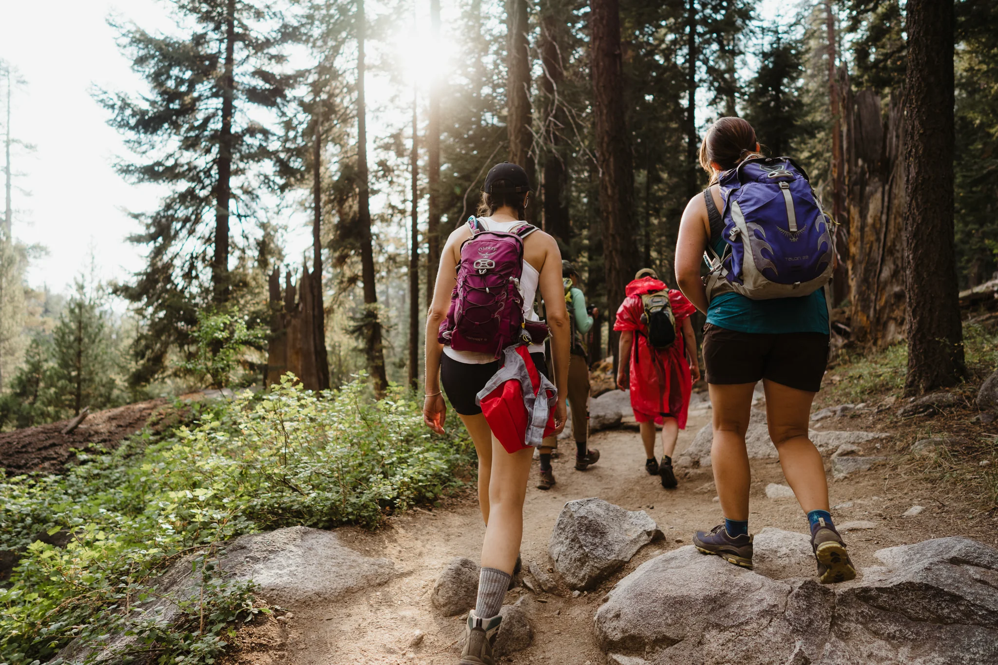 20170903-Shoestring-Adventures-Camping-Sequoia-7.jpg