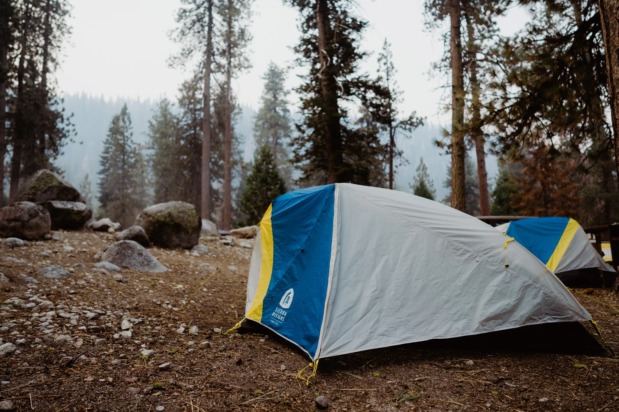 20170903-Shoestring-Adventures-Camping-Sequoia-16.jpg