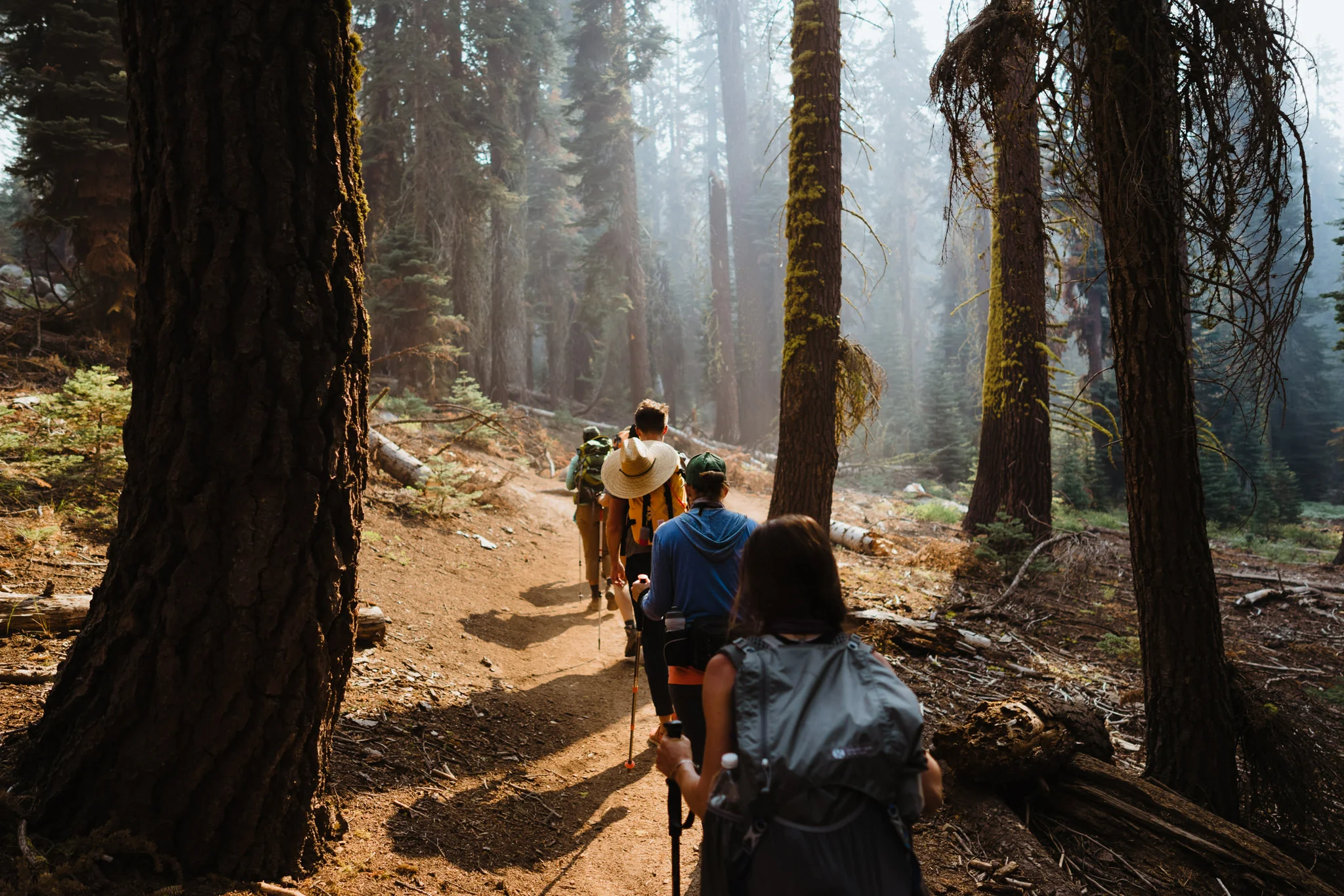 20170903-Shoestring-Adventures-Camping-Sequoia-24.jpg