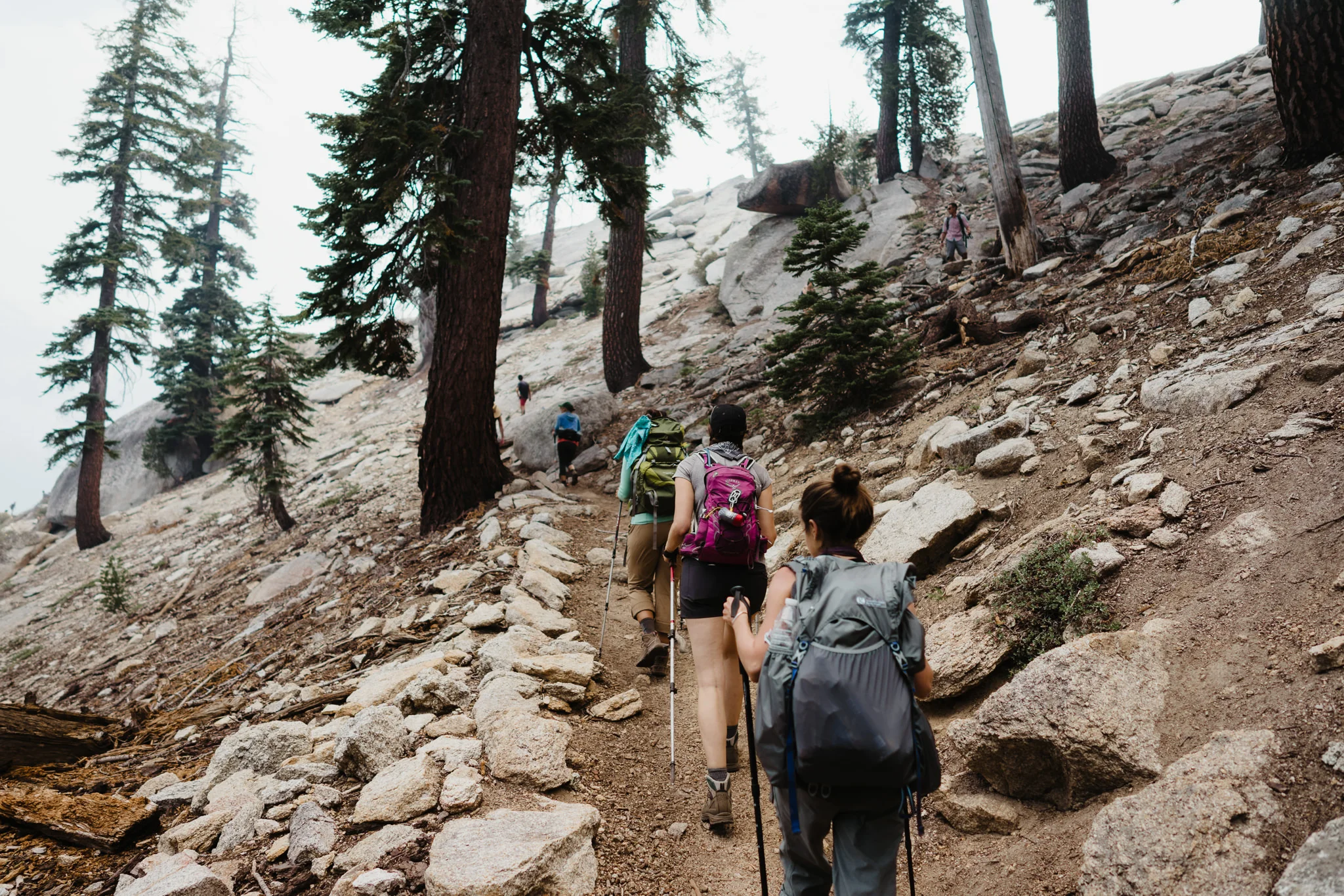 20170903-Shoestring-Adventures-Camping-Sequoia-26.jpg