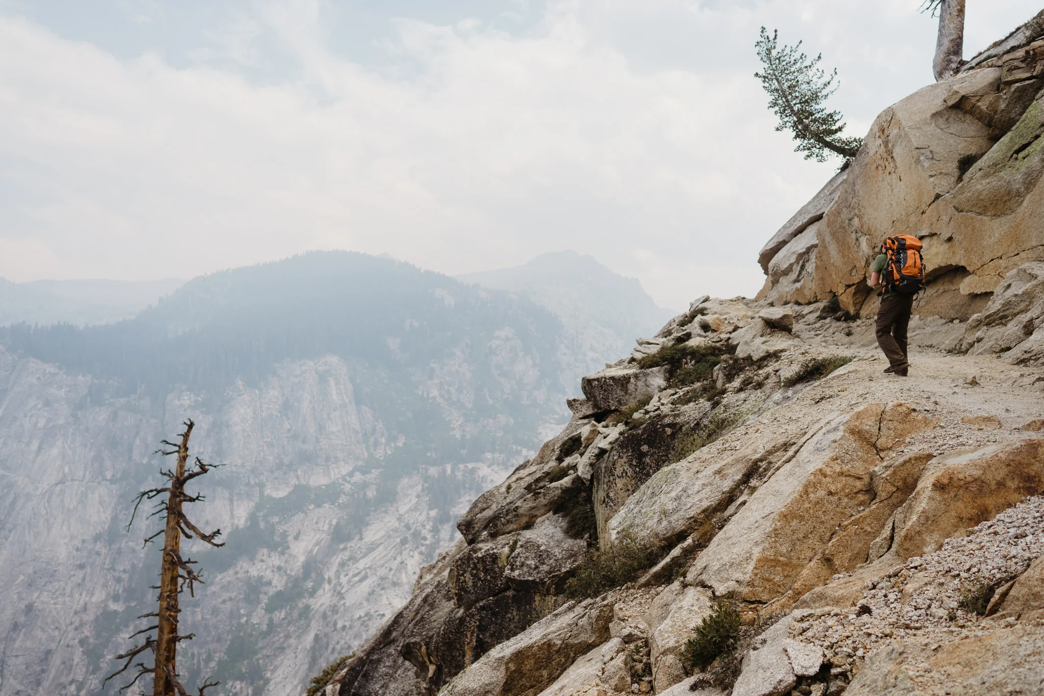 20170903-Shoestring-Adventures-Camping-Sequoia-32.jpg