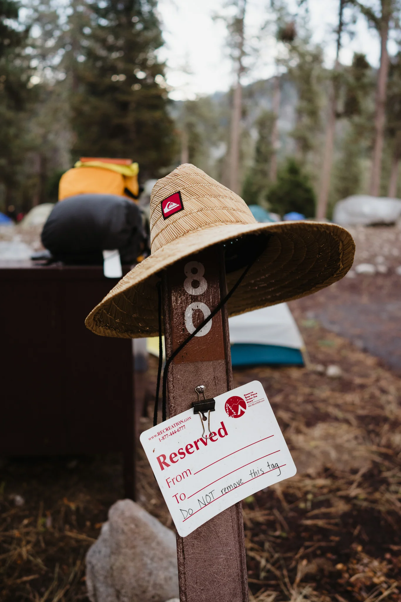 20170903-Shoestring-Adventures-Camping-Sequoia-38.jpg