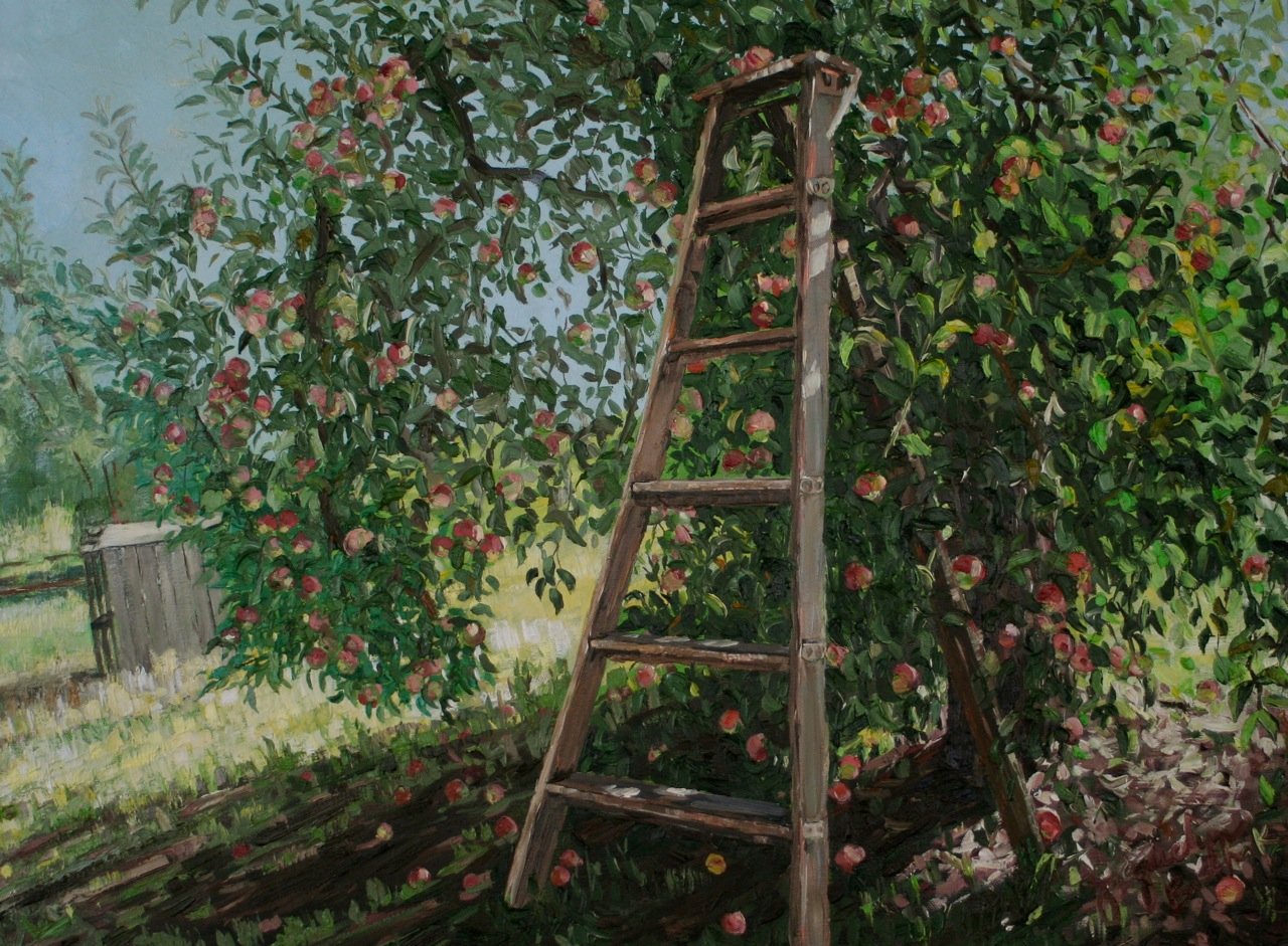 “Orchard Ladder”  25x32 cotton canvas