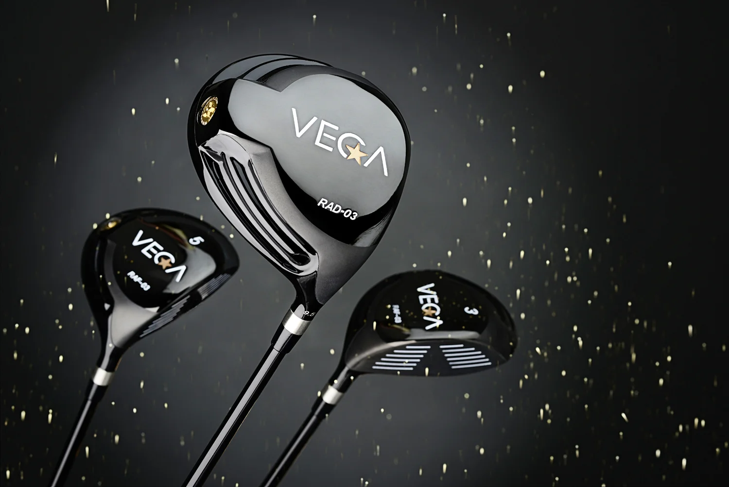 vega03b.jpg