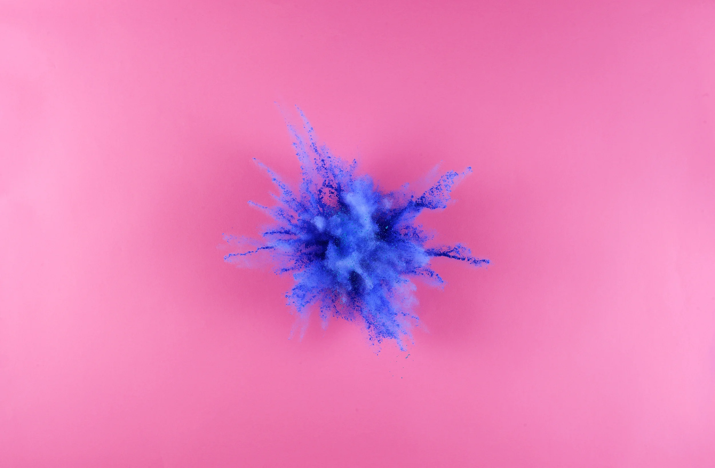 pink-blue03.JPG