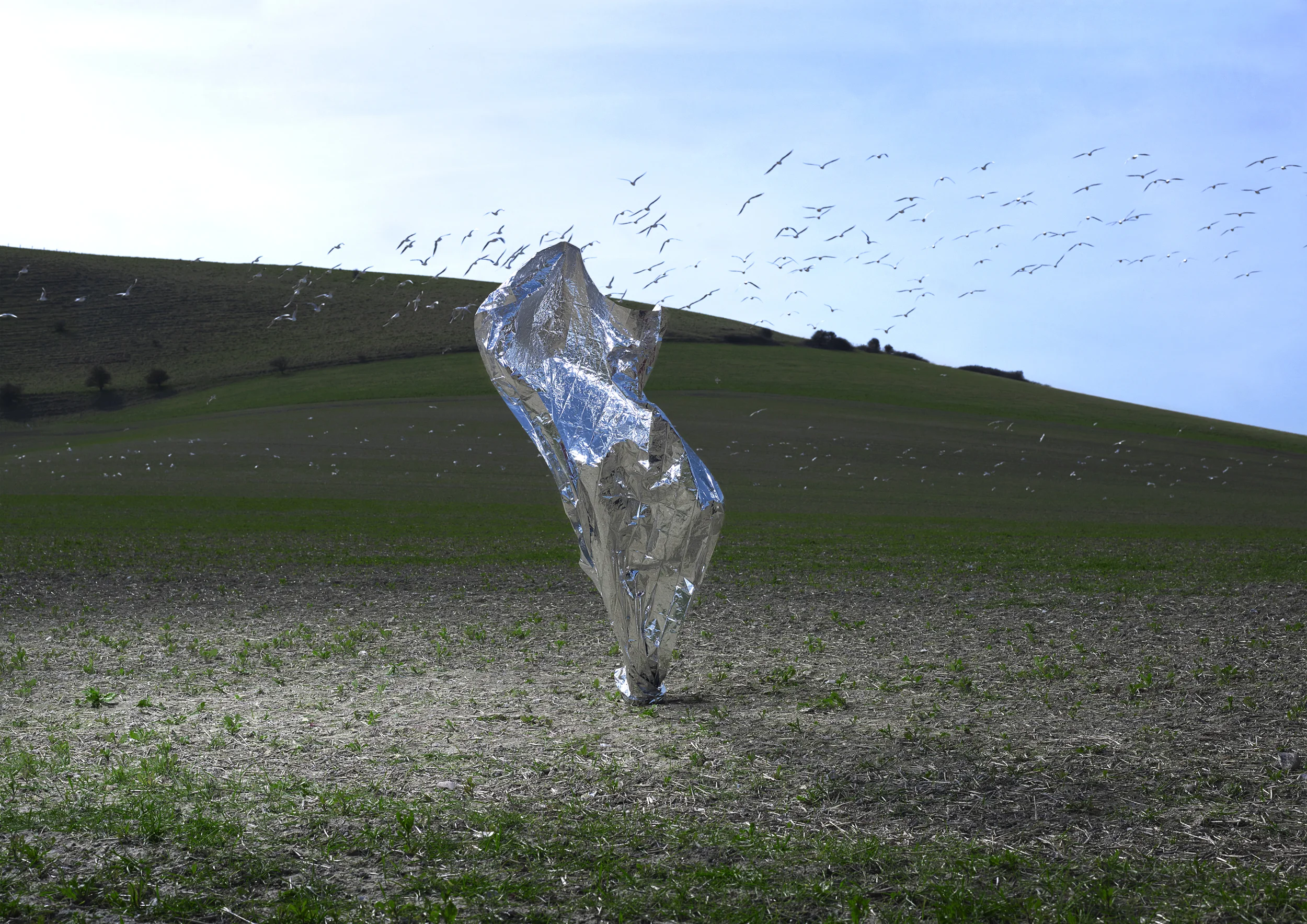 fabric forms01.jpg
