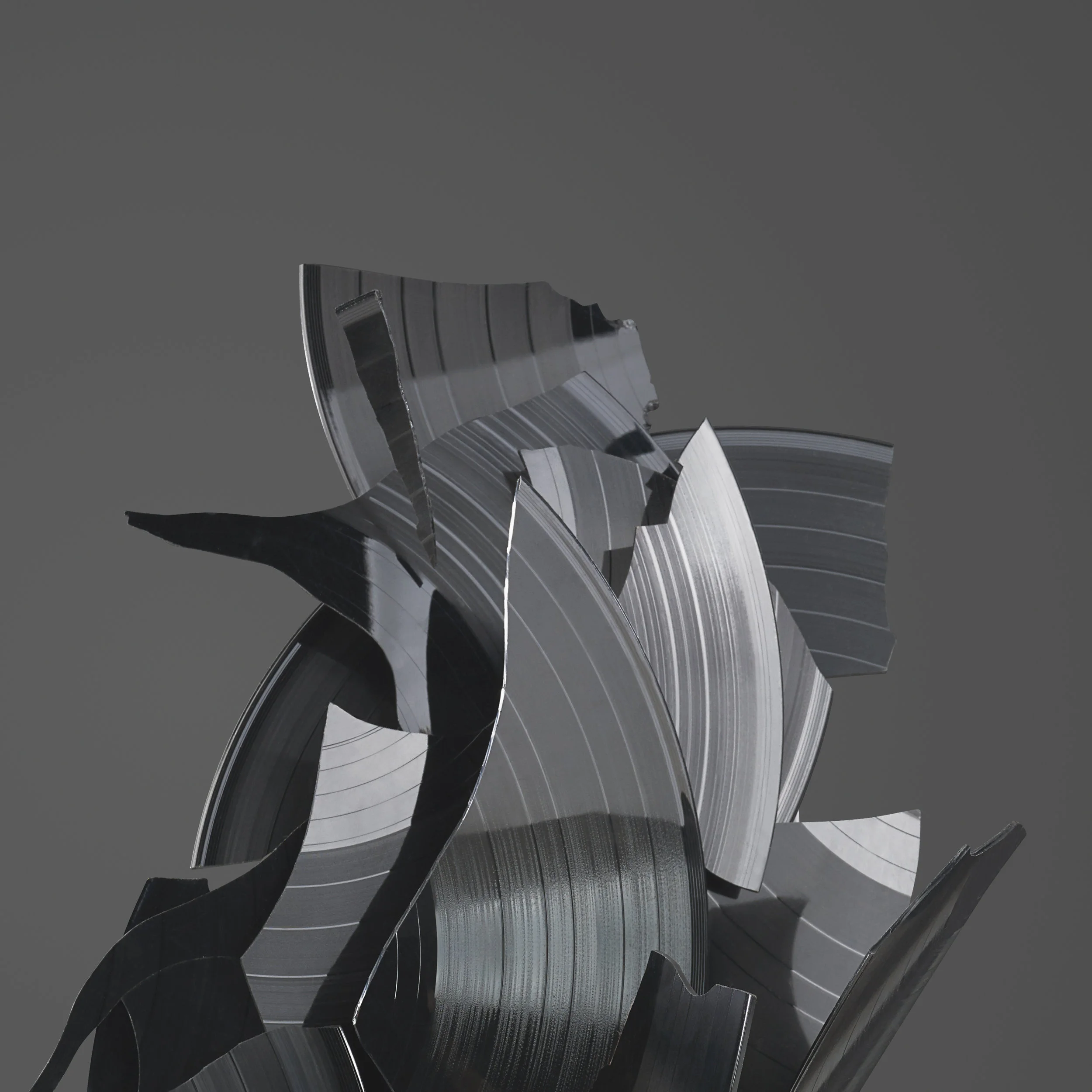 image 2d.jpg