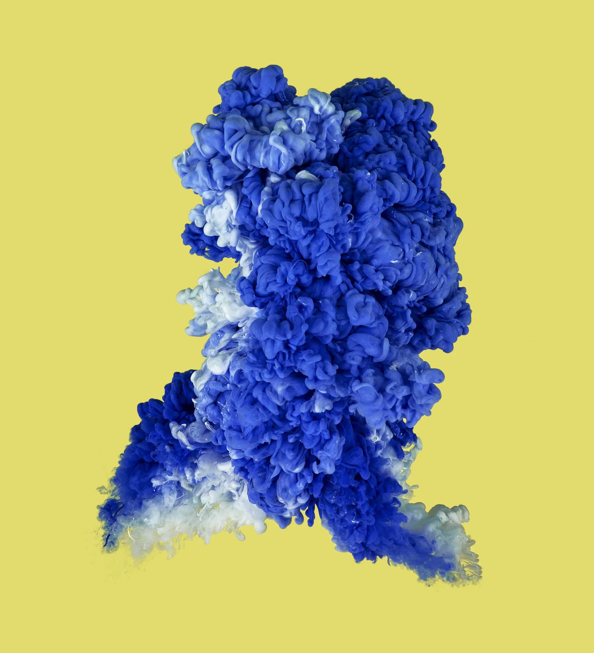 colour1.JPG