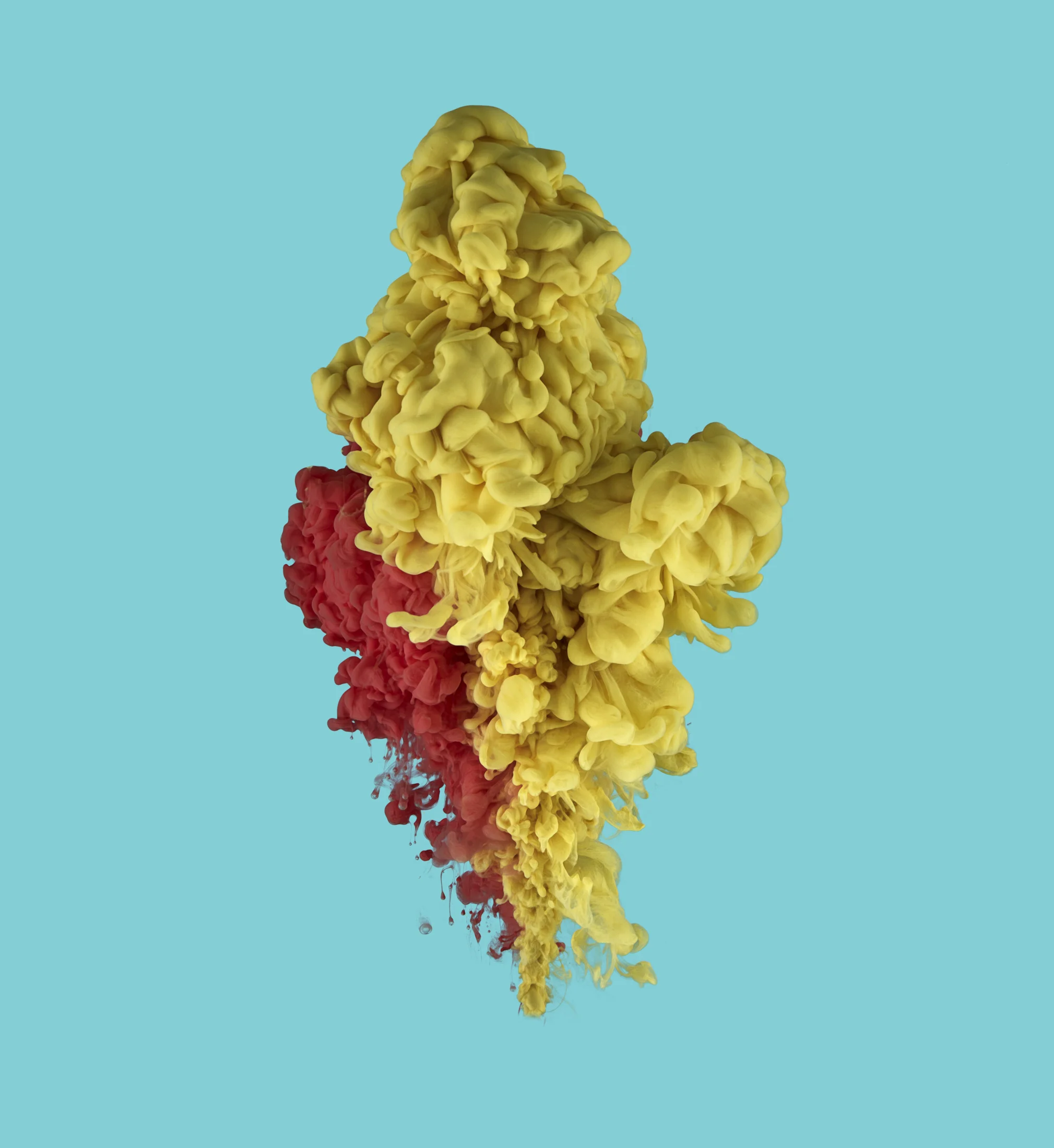 colour11.JPG