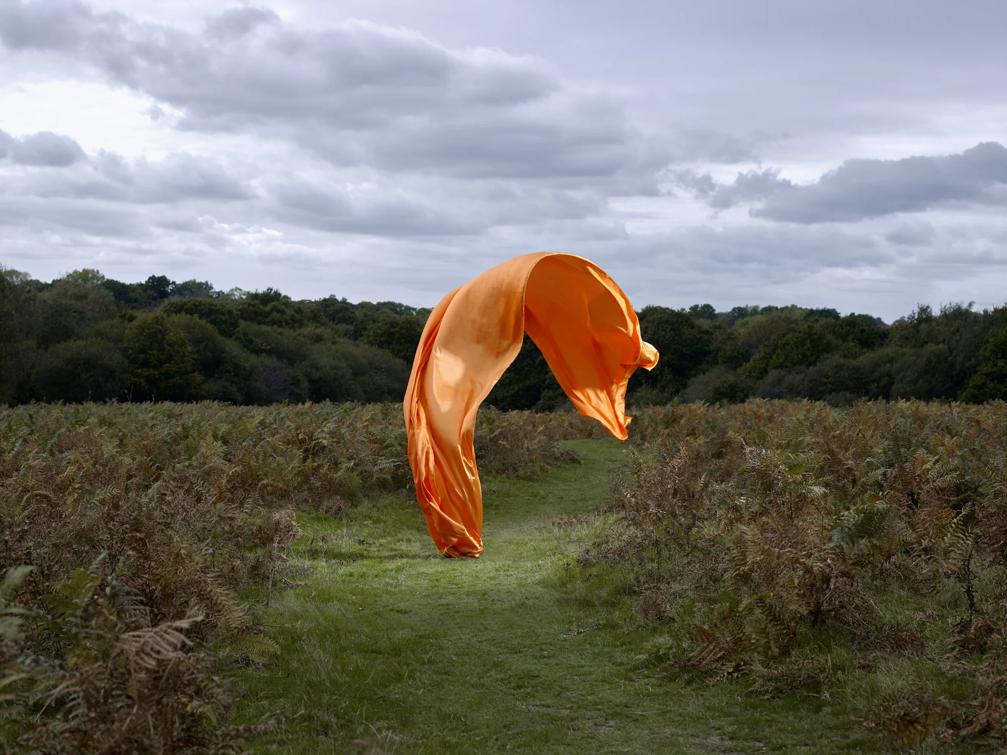 orange 1.jpg