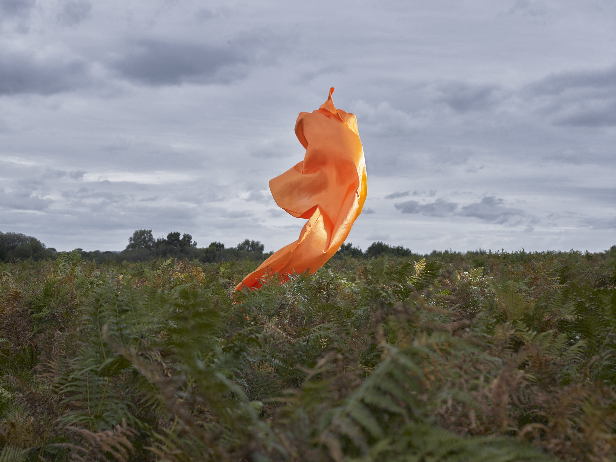 orange 3.jpg