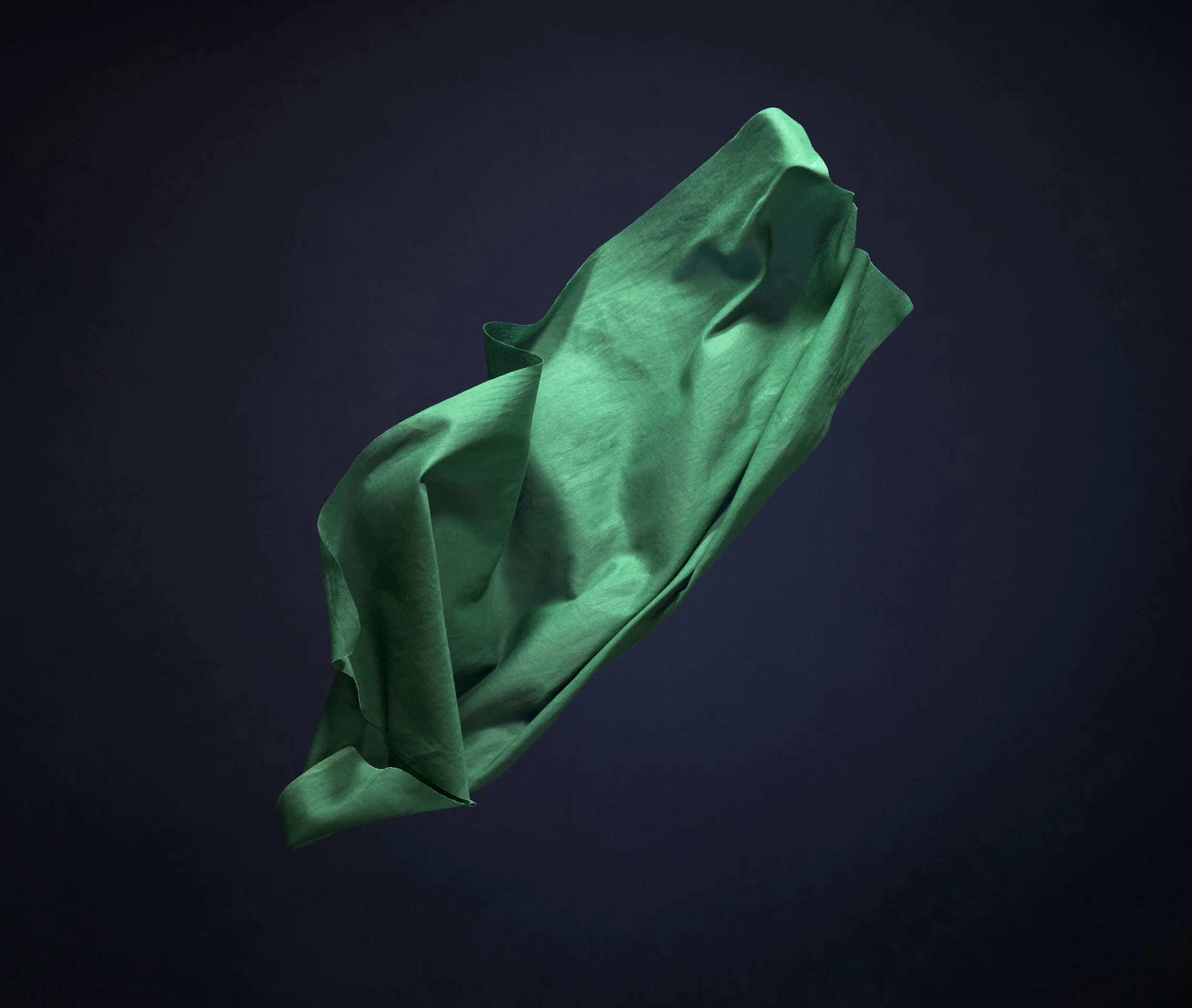 Fabric 01.crop.jpg