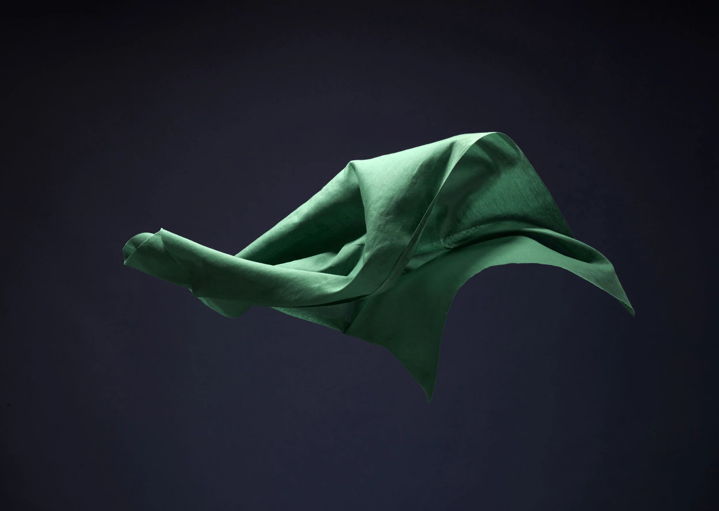 Fabric 03.crop.jpg