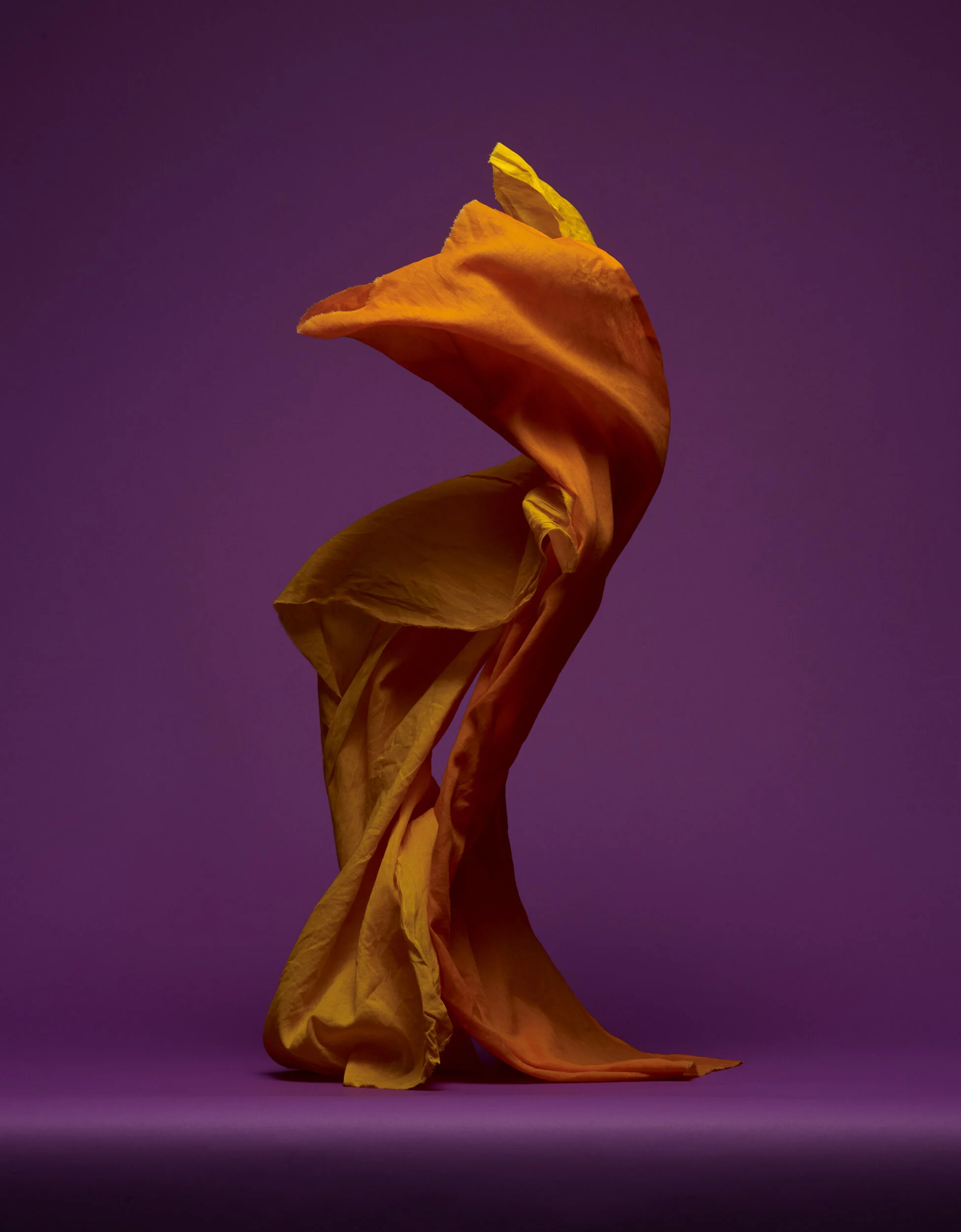 fabric forms.172256.jpg