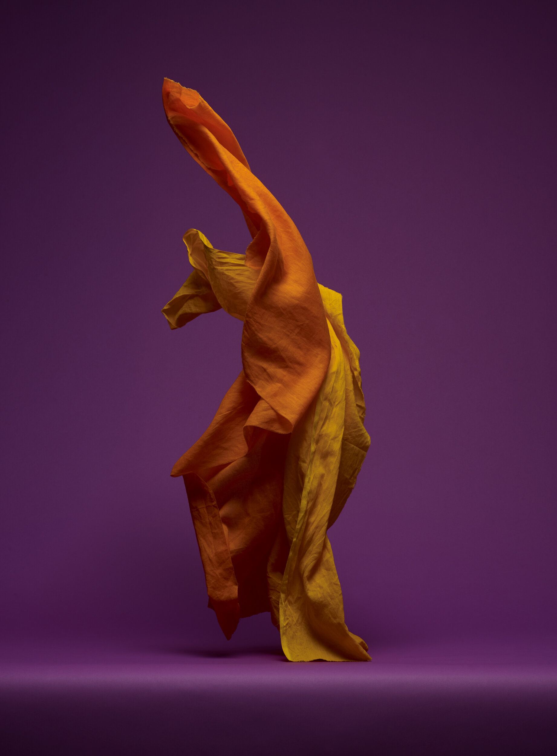 fabric forms.172294.jpg