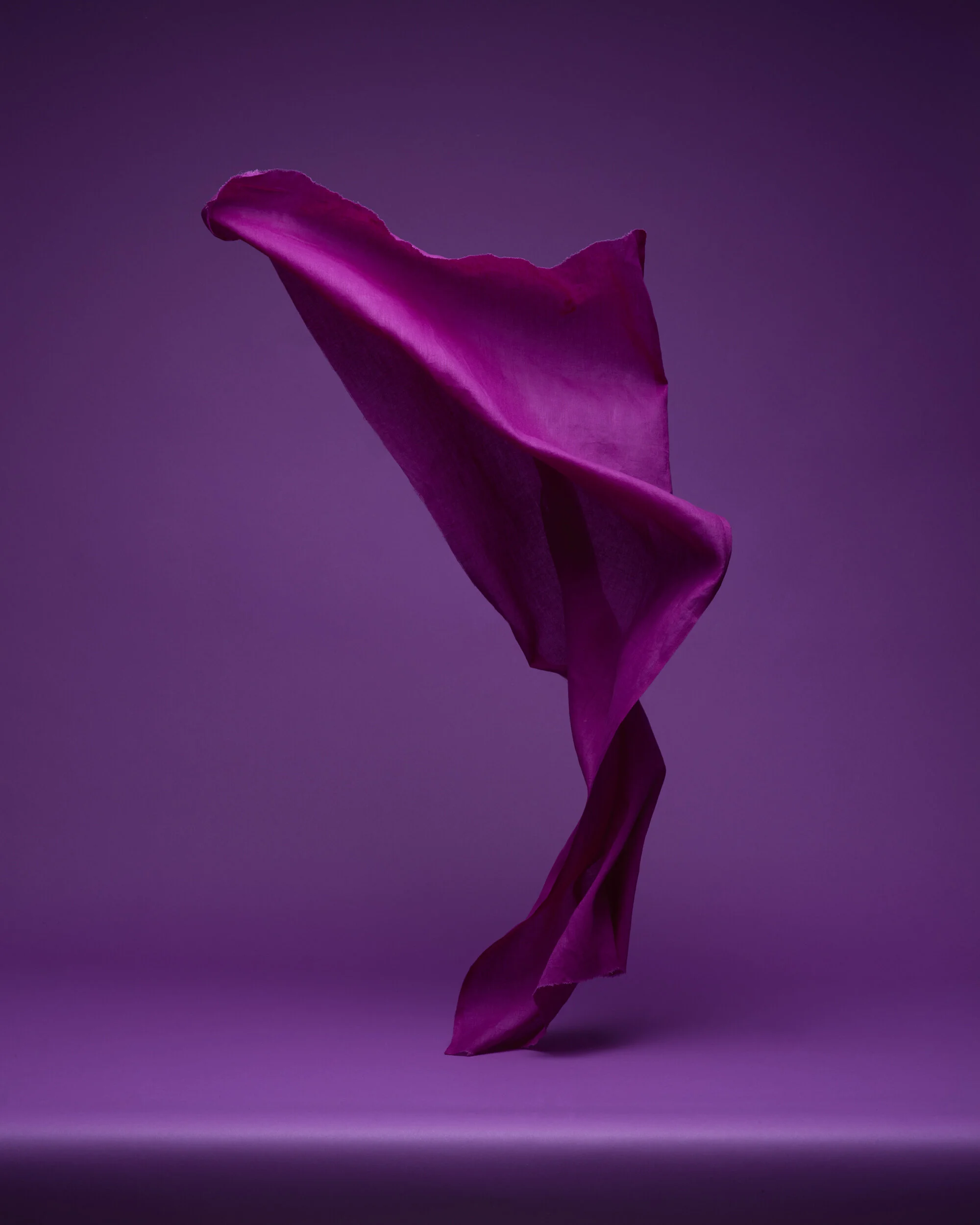 purple fabrics19885.jpg