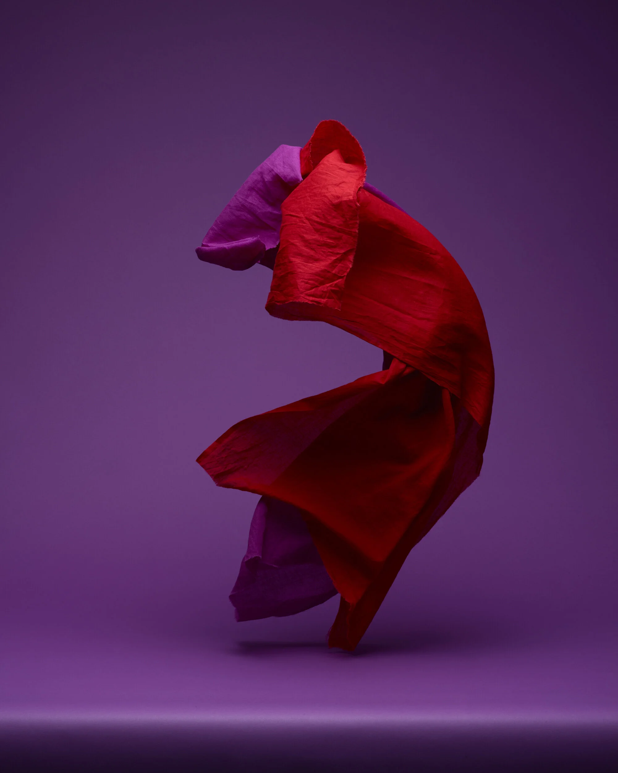 purple fabrics20073.jpg