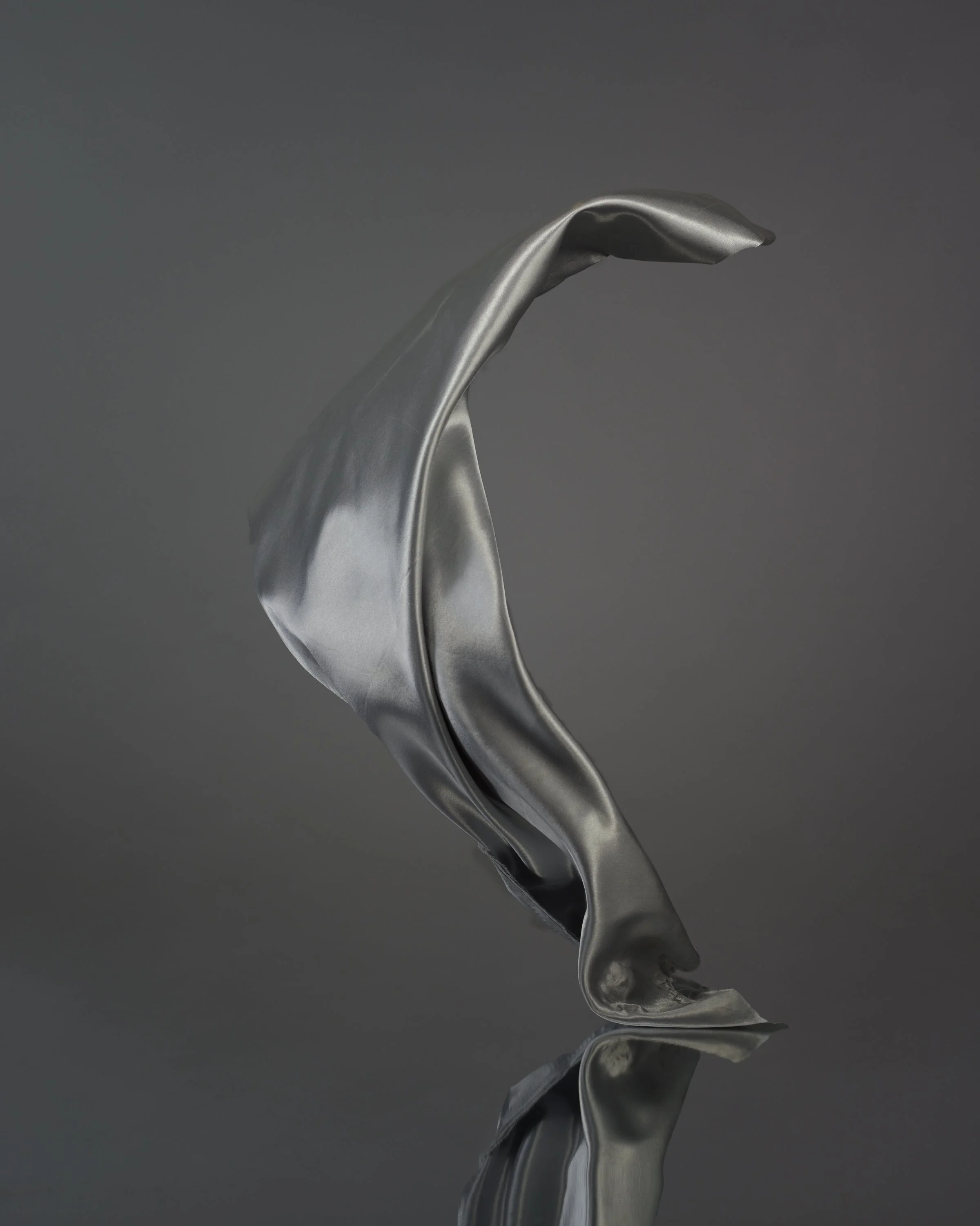 Silver-1.jpg