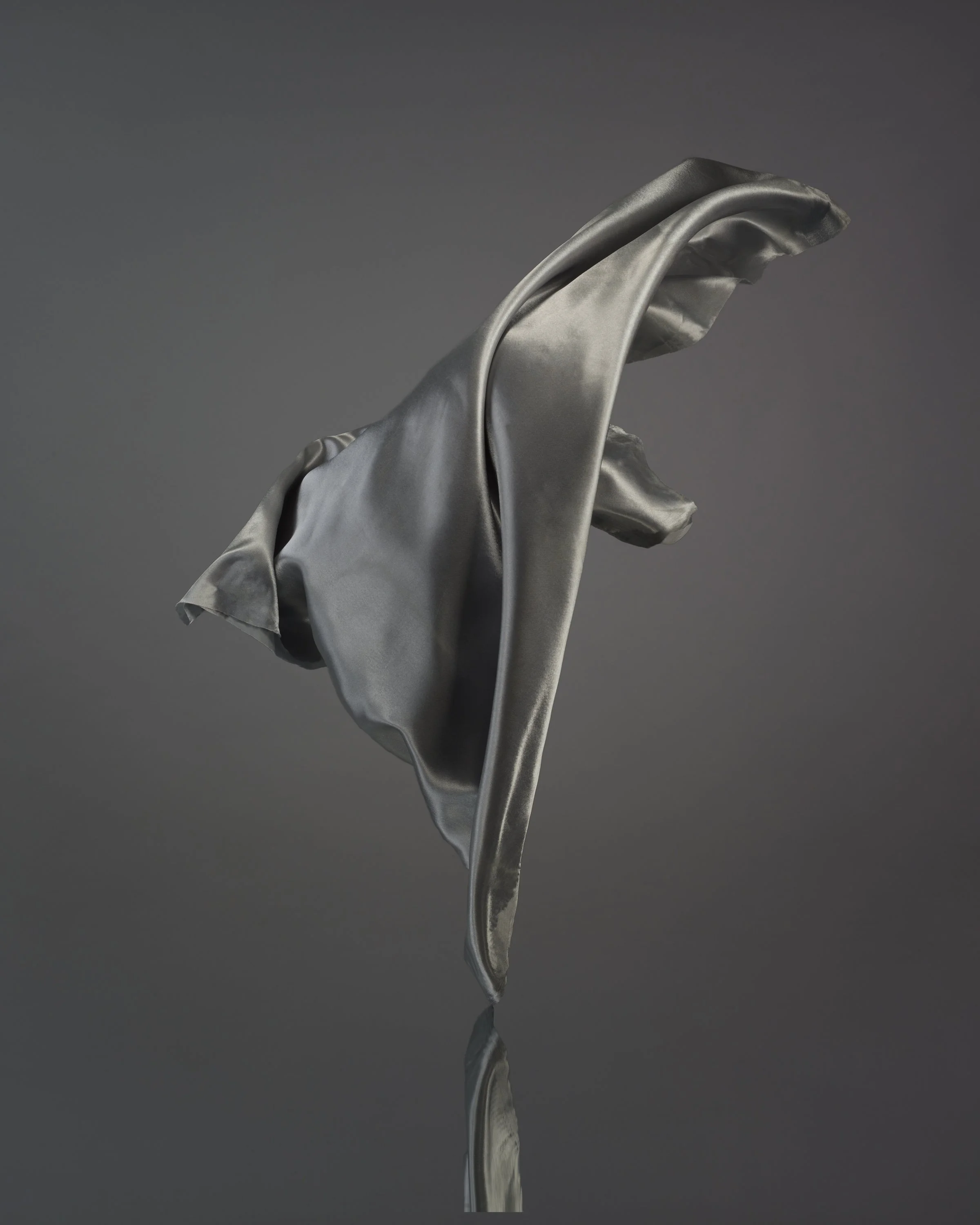 Silver-3.jpg