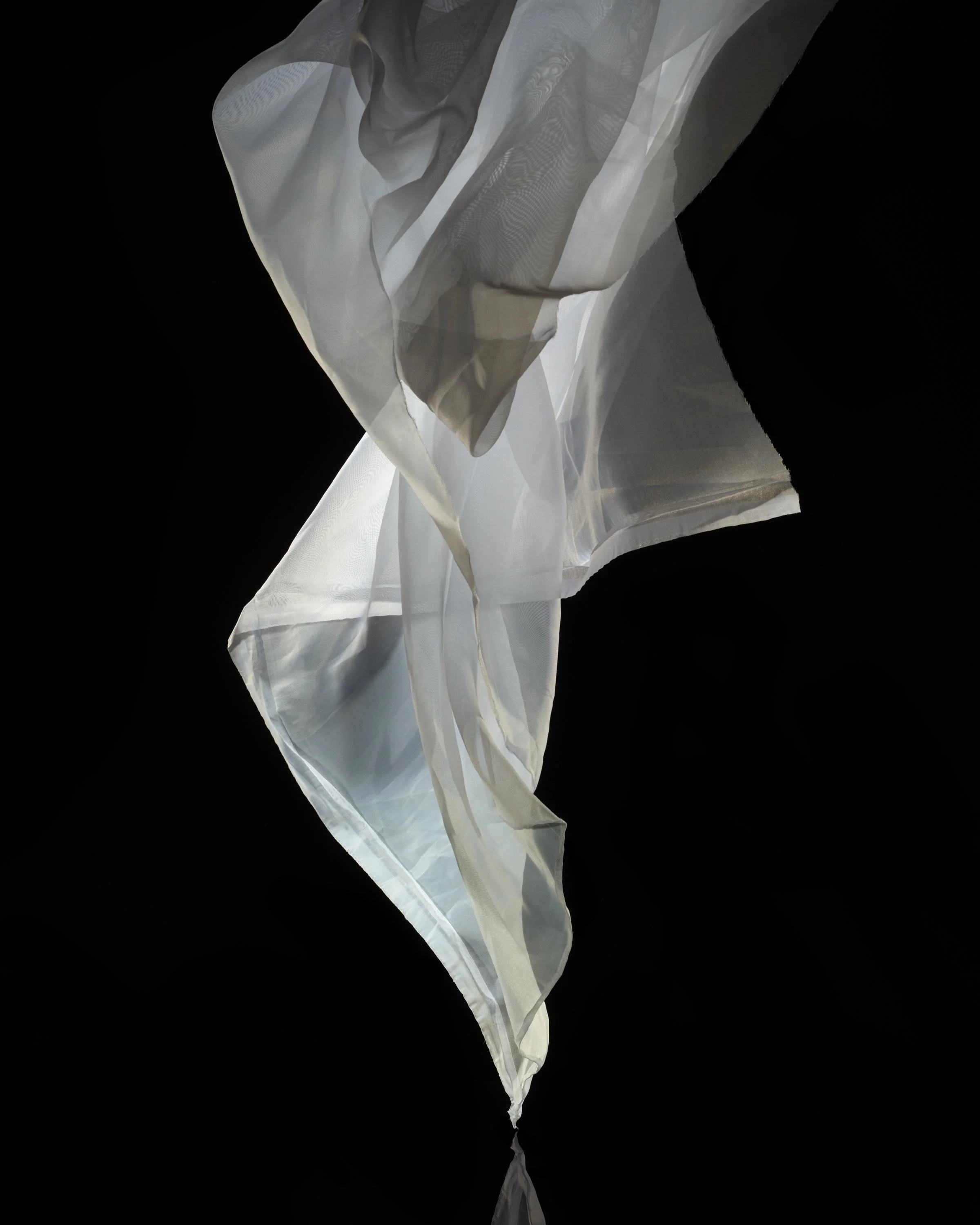 White-1.jpg