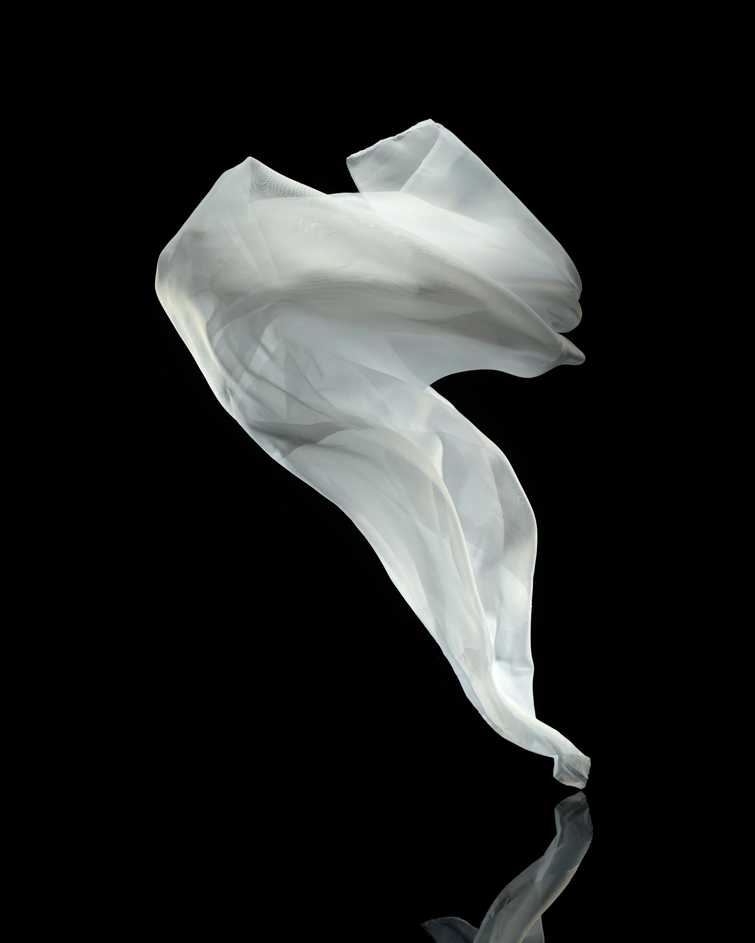 White-2.jpg