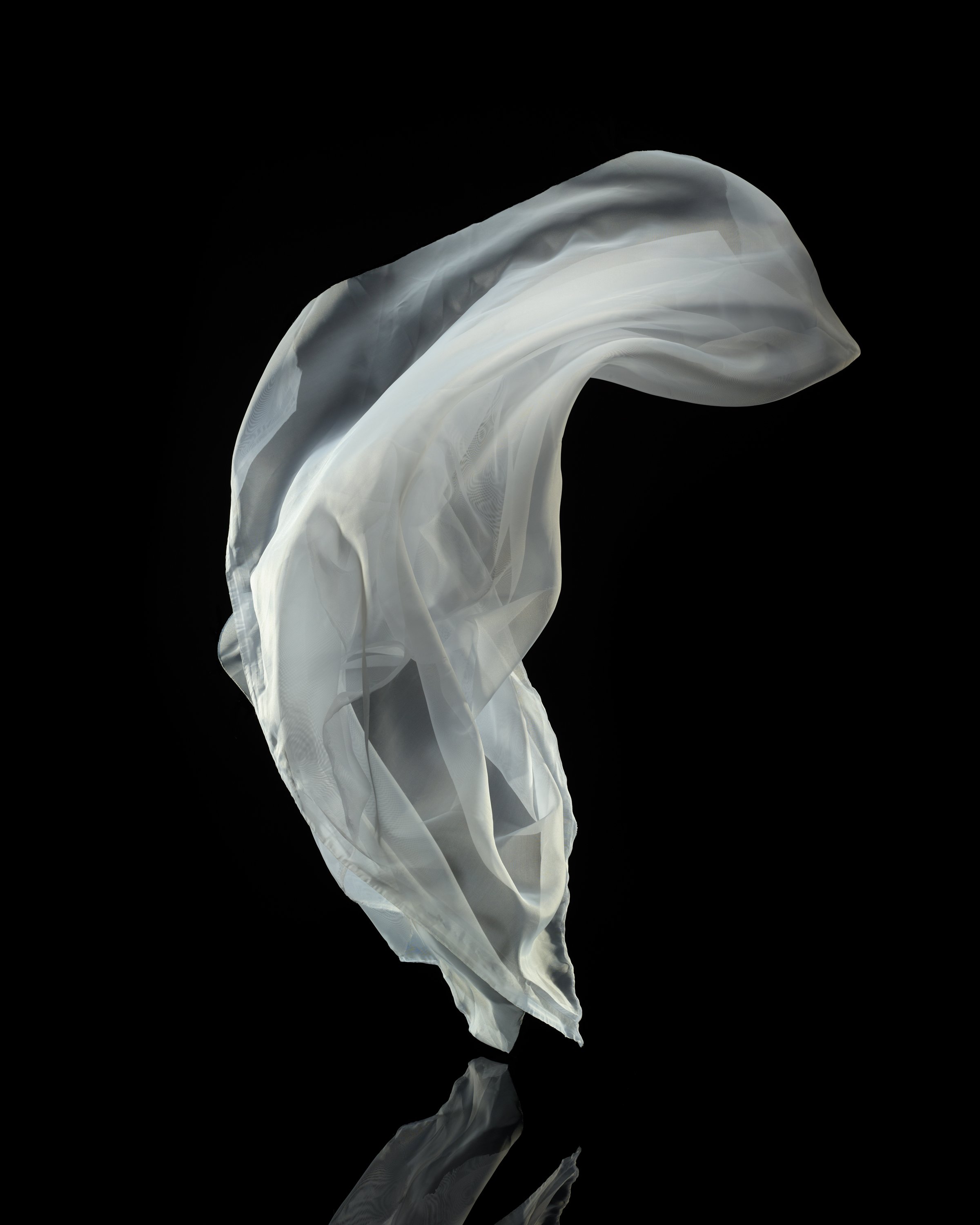 White-3.jpg