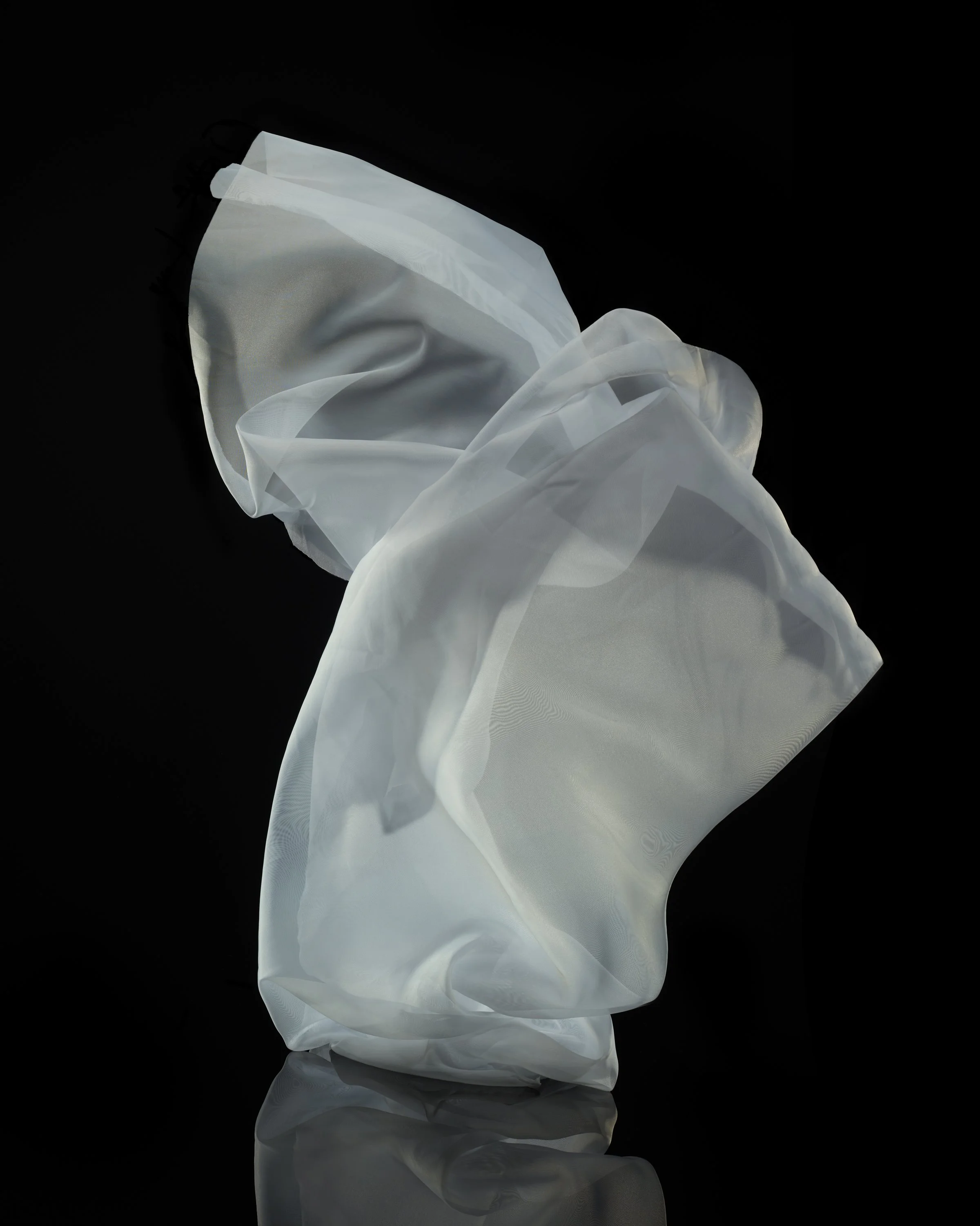 White-4.jpg