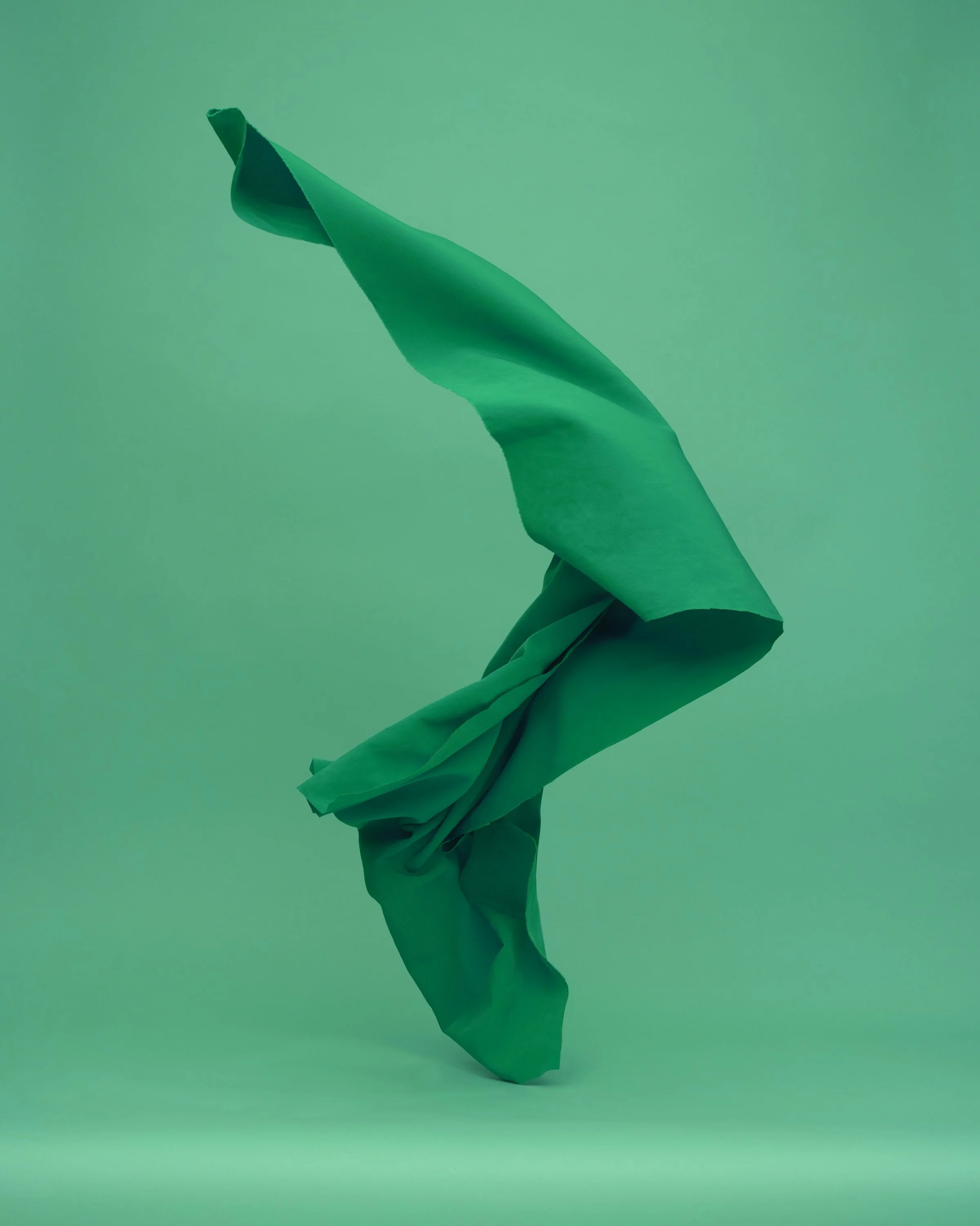 dancingfabrics-12.jpg