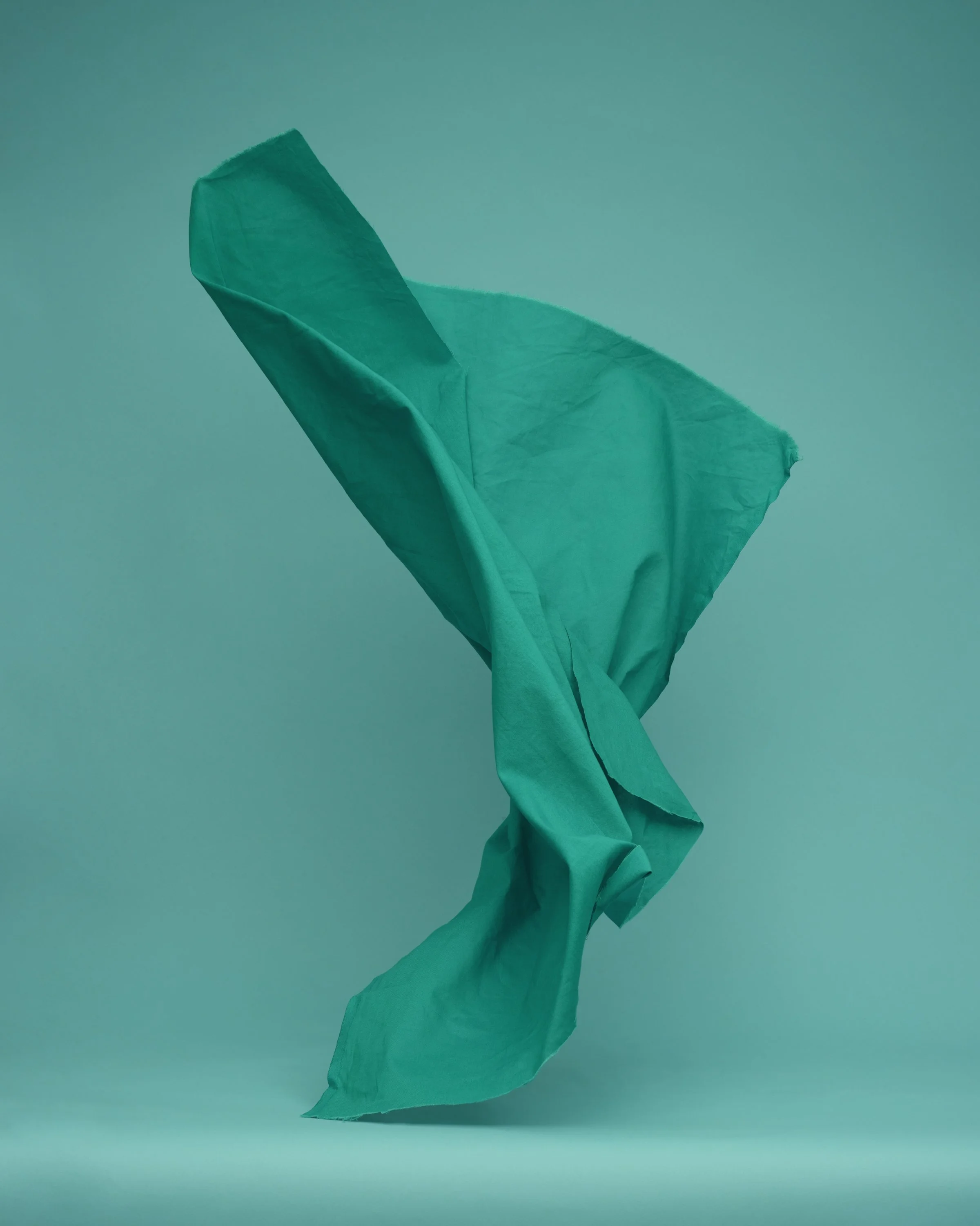 dancingfabrics-18.jpg