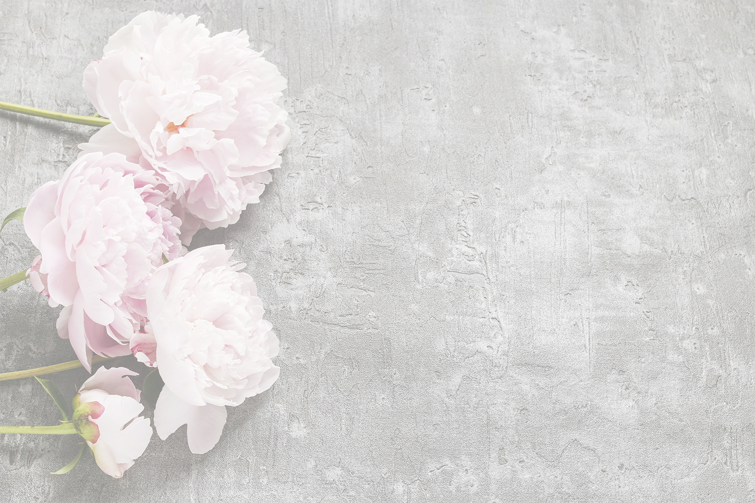 fav peonie-FINAL.jpg